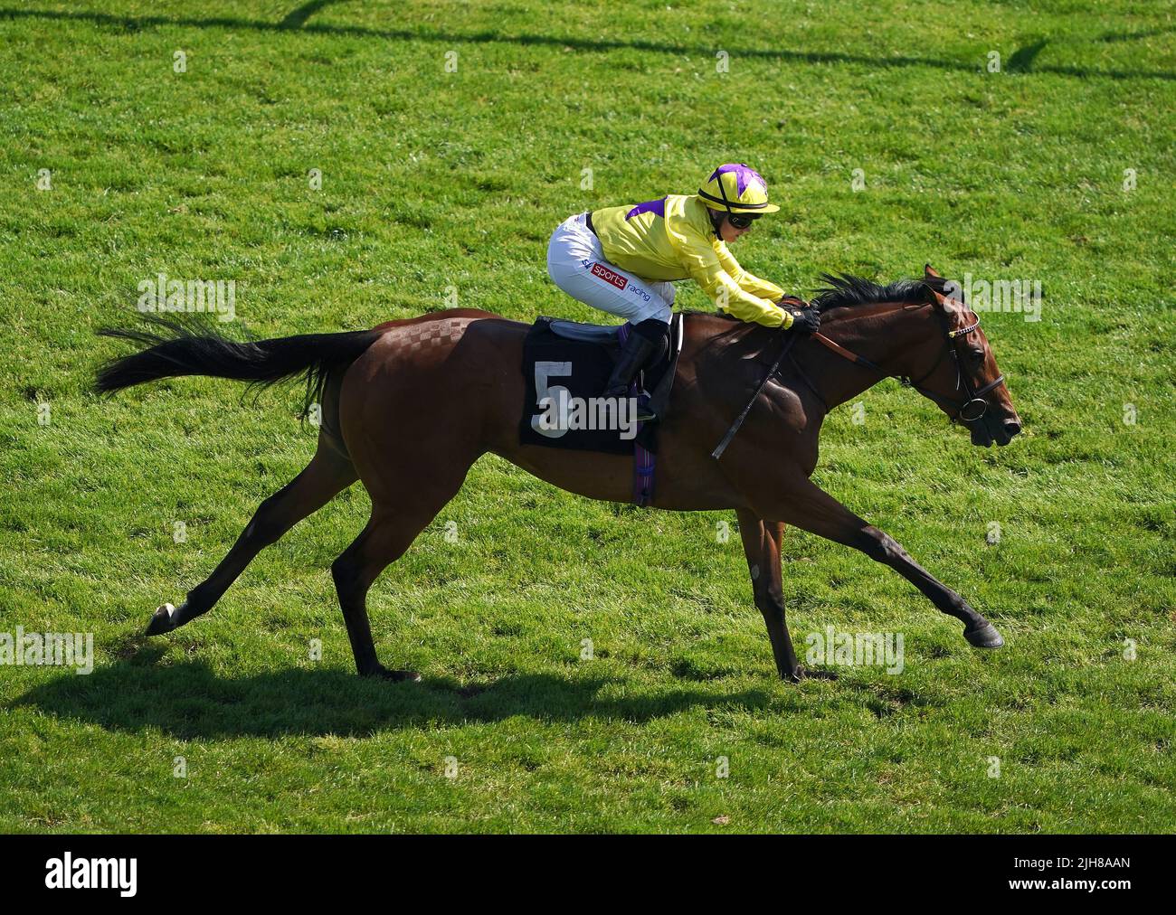 Morgan Fairy, guidato da Hollie Doyle sulla strada per vincere la vincitrice del premio Lifetime in Racing Award, l'handicap British EBF Premier Fillies' all'ippodromo di Newbury. Data foto: Sabato 16 luglio 2022. Foto Stock