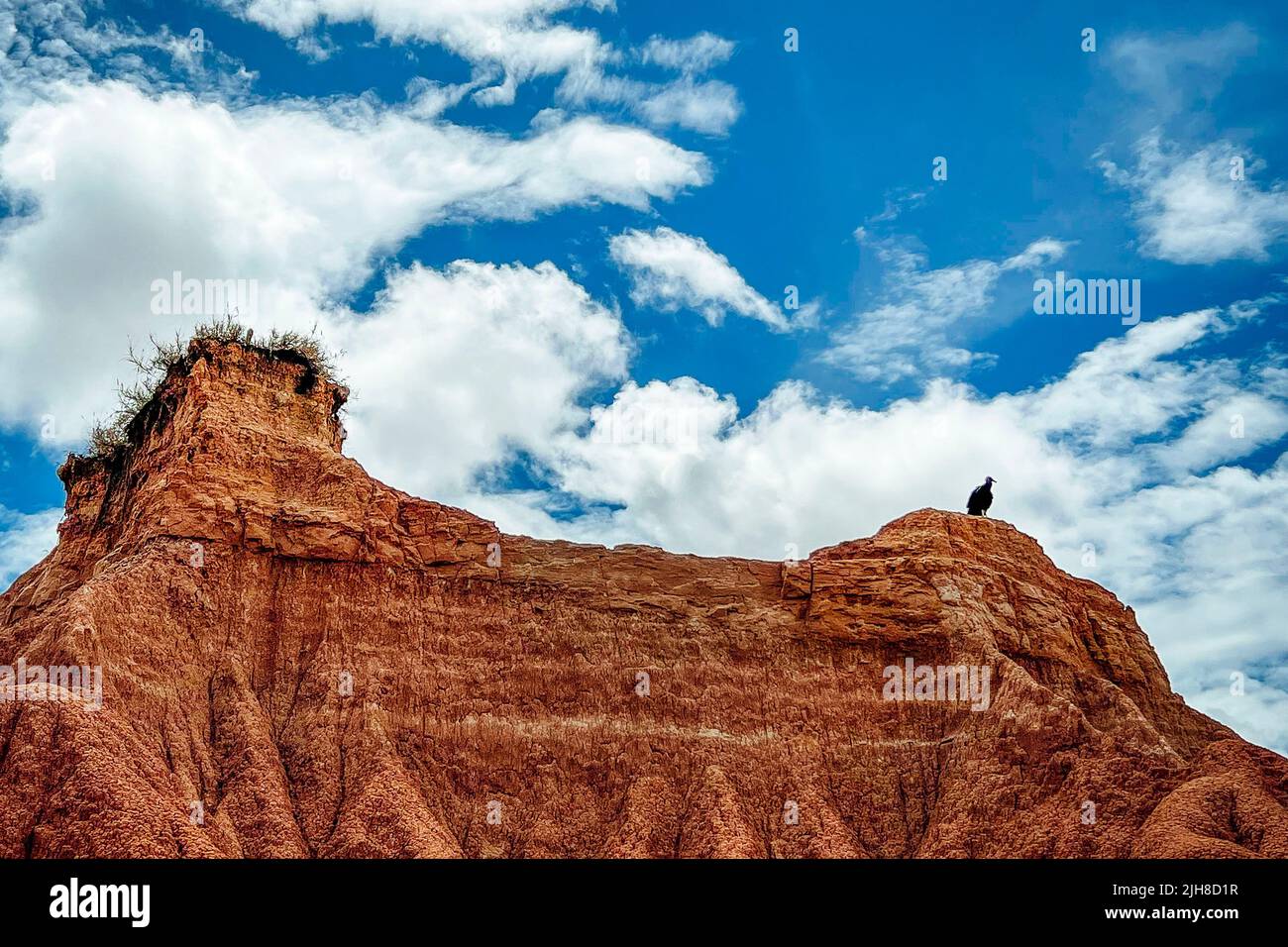 Un bellissimo paesaggio del deserto di Tatacoa con formazioni rocciose in Colombia in tempo di sole Foto Stock