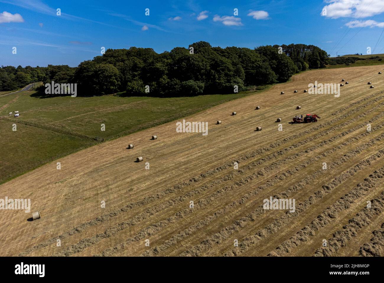 Selkirk, Regno Unito. , . Gli agricoltori fanno buon uso del recente incantesimo del bel tempo, facendo fieno mentre il sole brilla, fieno che si spezza e ballare in una fattoria vicino a Lindean, Selkirk Sabato 16 luglio 2022. ( Credit: Rob Grey/Alamy Live News Foto Stock