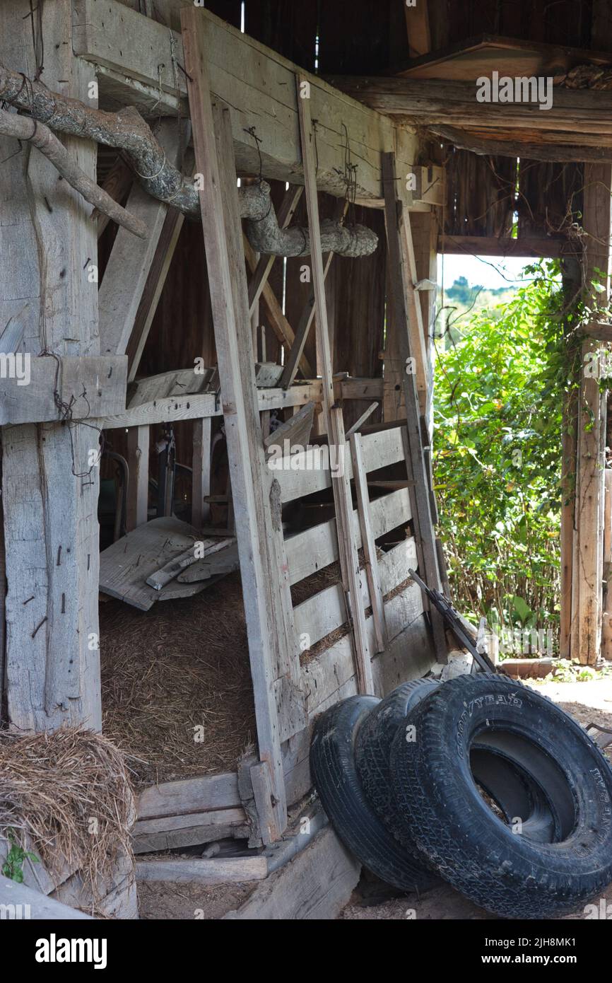 Un colpo verticale all'interno di un vecchio fienile nella zona rurale dell'Ohio. Regione del Midwest degli Stati Uniti Foto Stock