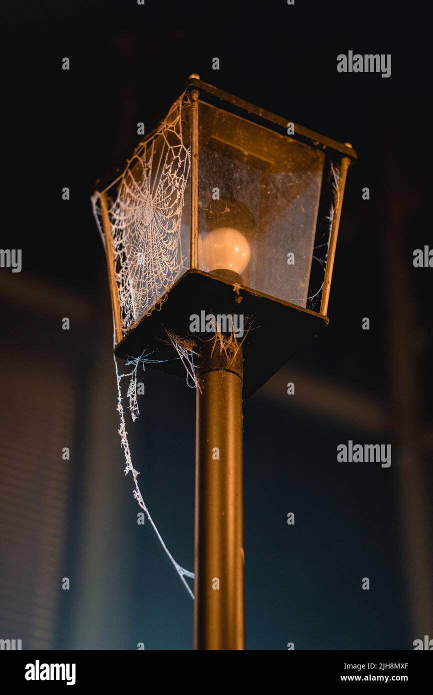 Un colpo verticale di un vecchio palo sporco chiaro coperto di ragnatela su uno sfondo scuro sfocato Foto Stock