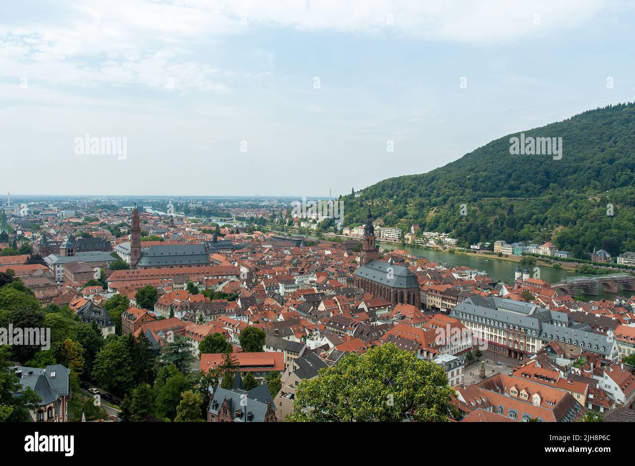 Una vista aerea del paesaggio urbano di Heidelberg con foreste di montagna sullo sfondo in Germania Foto Stock