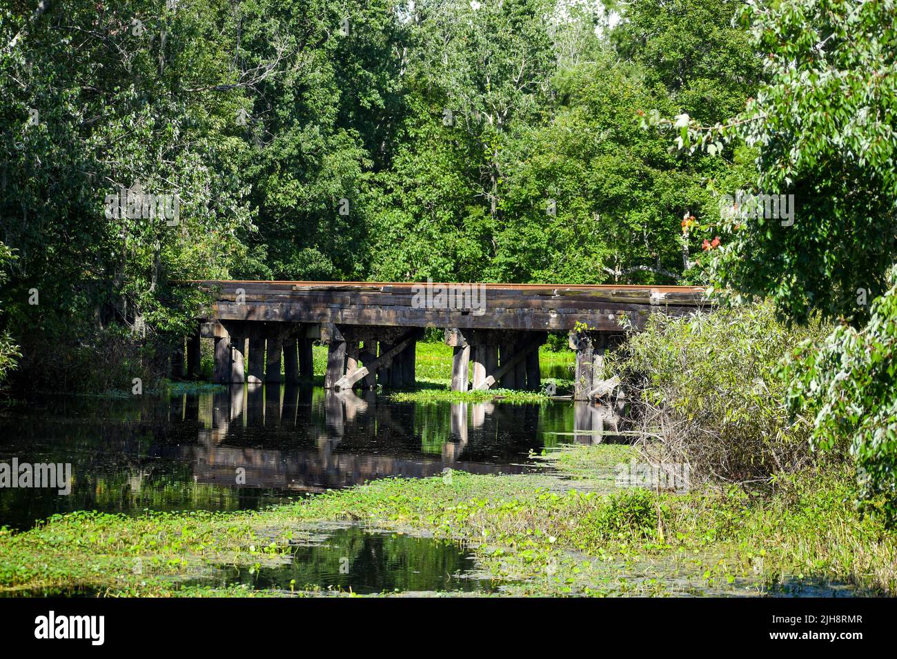 Un vecchio ponte rustico attraverso un laghetto tranquillo in un parco paesaggistico verde Foto Stock