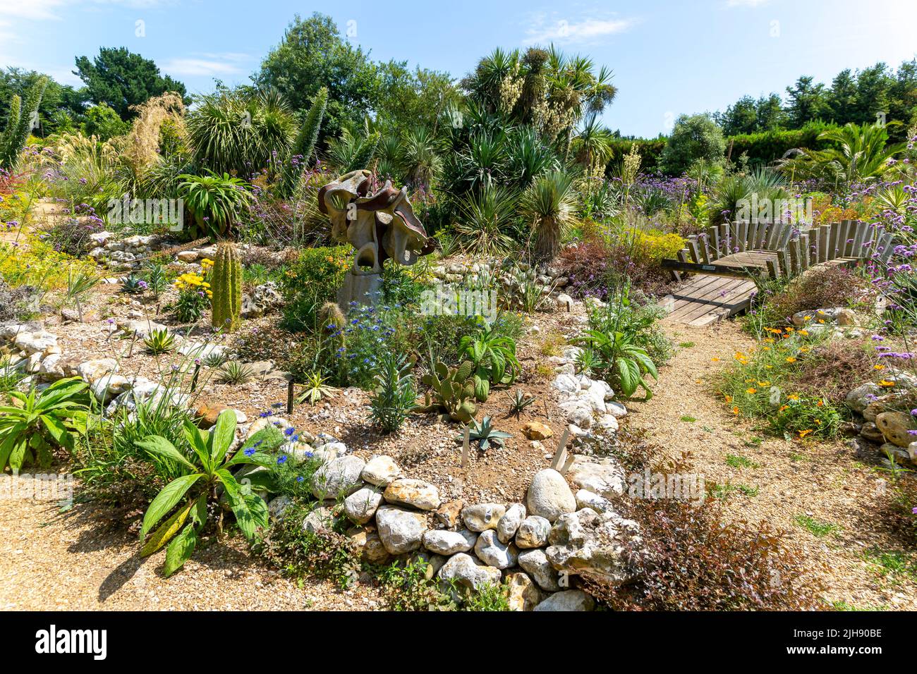 Desert Wash Garden, East Ruston Old Vicarage Garden, East Ruston, Norfolk, Inghilterra, Regno Unito Foto Stock