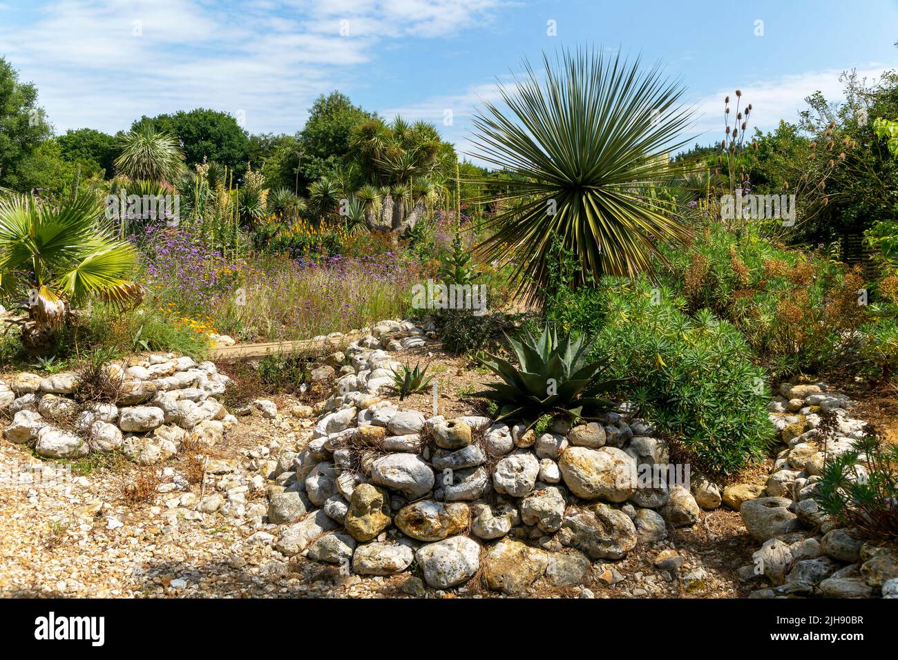 Desert Wash Garden, East Ruston Old Vicarage Garden, East Ruston, Norfolk, Inghilterra, Regno Unito Foto Stock