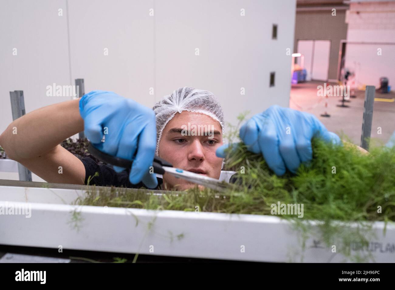 Relazione sui giardini condivisi e l'agricoltura urbana ad Amsterdam. Qui, Anna Tuin & Ruigte, un progetto di permacultura di oltre un ettaro nel parco scientifico di Amsterdam. Stanno sperimentando una produzione alimentare sostenibile nella foresta alimentare e nell'orto. L'obiettivo è quello di aumentare la biodiversità, l'istruzione, la ricerca e l'impegno sociale. Amsterdam, Paesi Bassi. Foto Stock