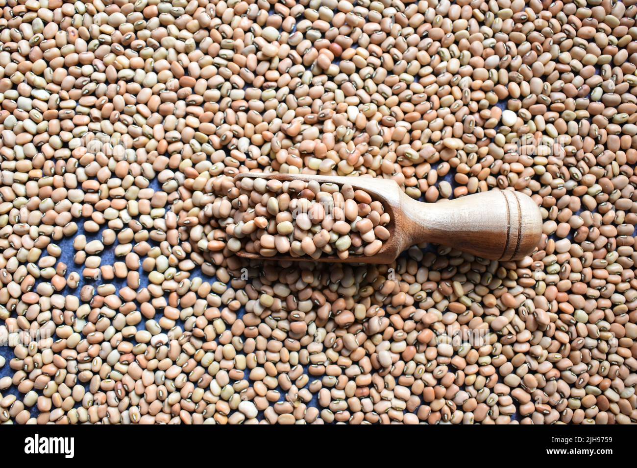 Fagioli di Cowpea secchi interi crudi Foto Stock