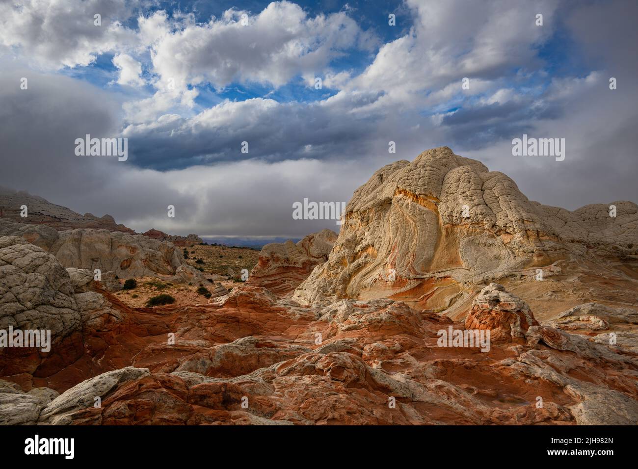 Formazioni rocciose di arenaria a White Pocket nel Monumento Nazionale delle Vermillion Cliffs, Arizona. Foto Stock