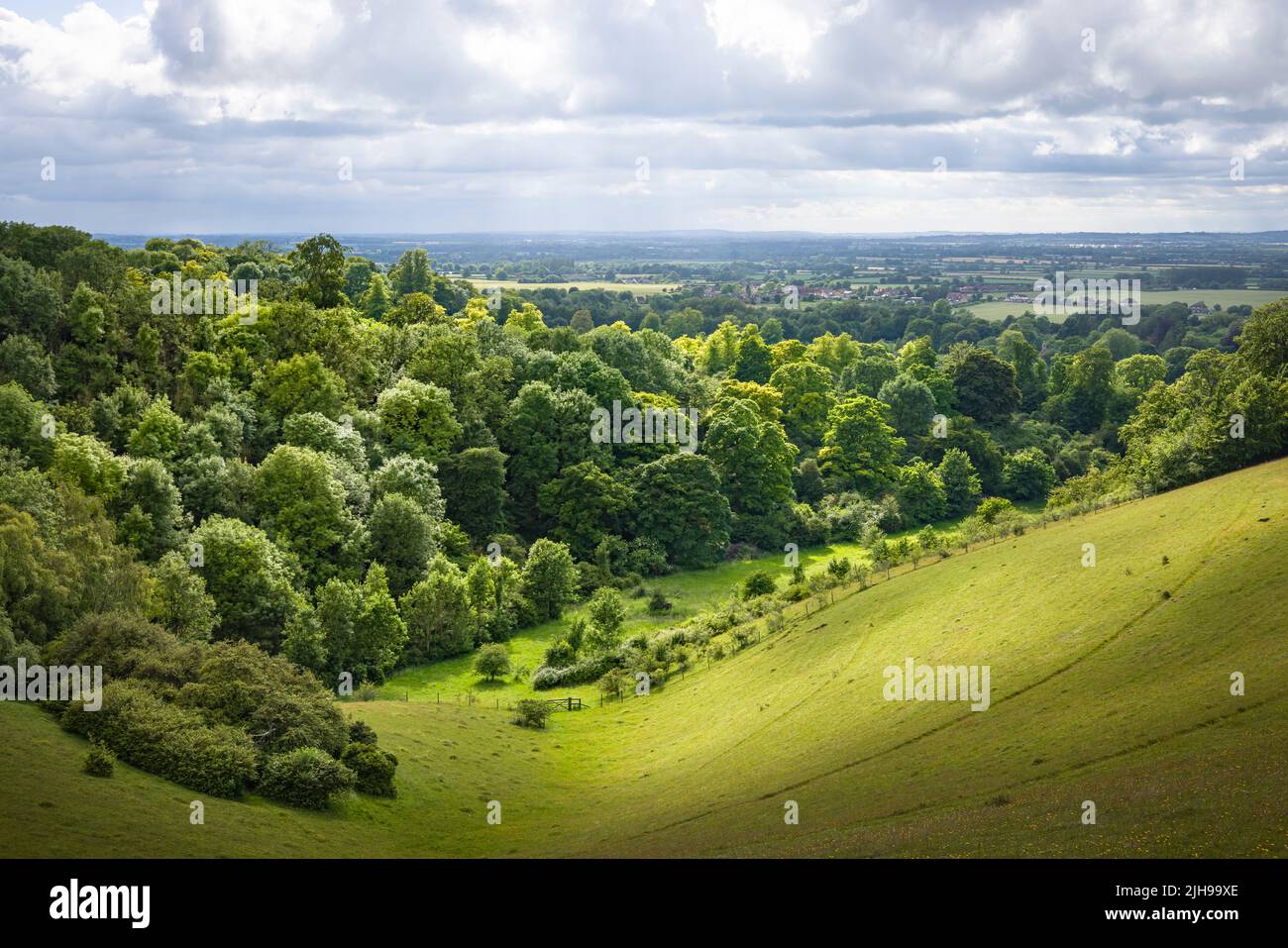 Paesaggio di campagna del Regno Unito. Verdi colline ondulate con alberi e prato. Vista da Chiltern Hills verso Aylesbury vale. Buckinghamshire, Regno Unito Foto Stock