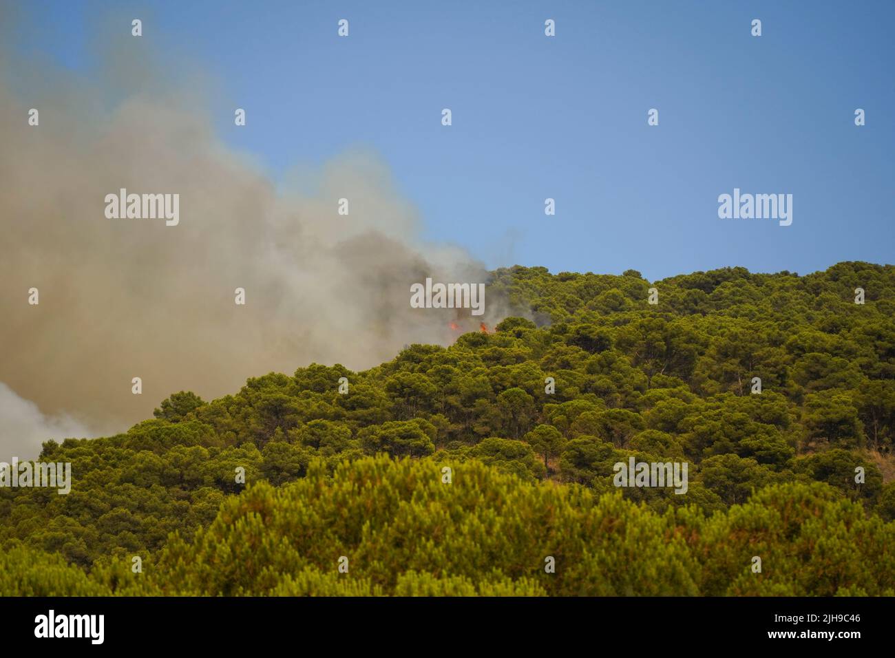 La foresta di pini brucia, il fuoco selvatico nella Sierra de Mijas. 18 luglio 2022, Mijas, Andalusia, Spagna. Foto Stock