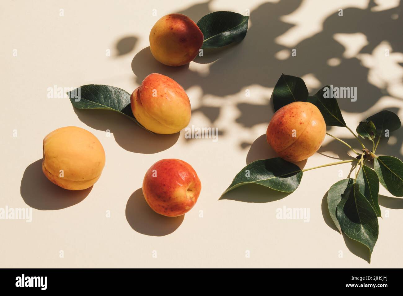 Scena estiva con frutta fresca di albicocca, foglie e ombra su sfondo beige. Estetica minimale. Primo piano della composizione. Foto Stock