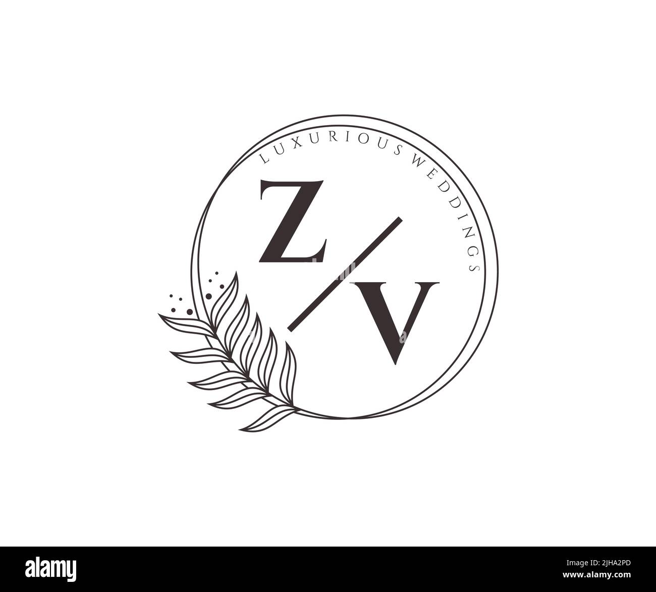 ZV iniziali lettera monogramma modello logo matrimonio, modelli moderni minimalisti e floreali disegnati a mano per carte di invito, Salva la data, elegante Illustrazione Vettoriale