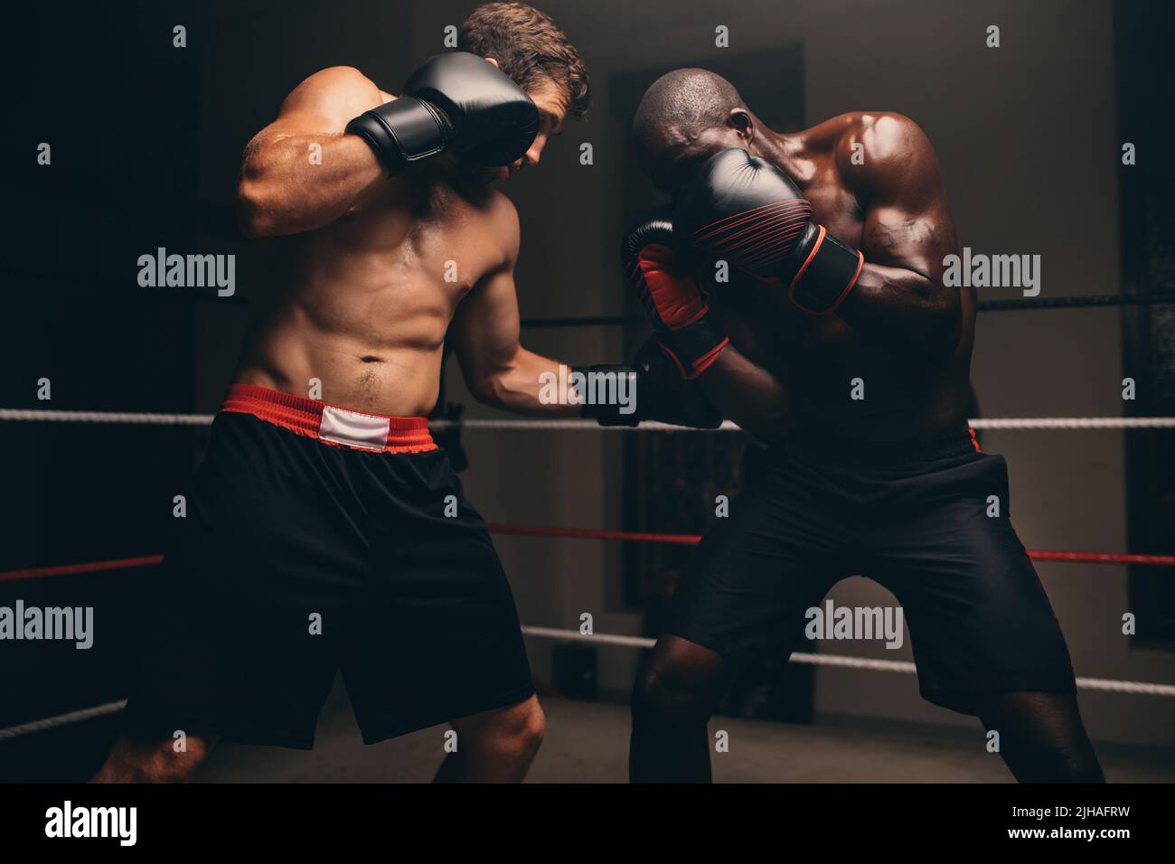 Uomo che puncia lo stomaco del suo avversario durante una partita di pugilato. Due boxer maschi che combattono con i guanti in un anello di boxe. Foto Stock