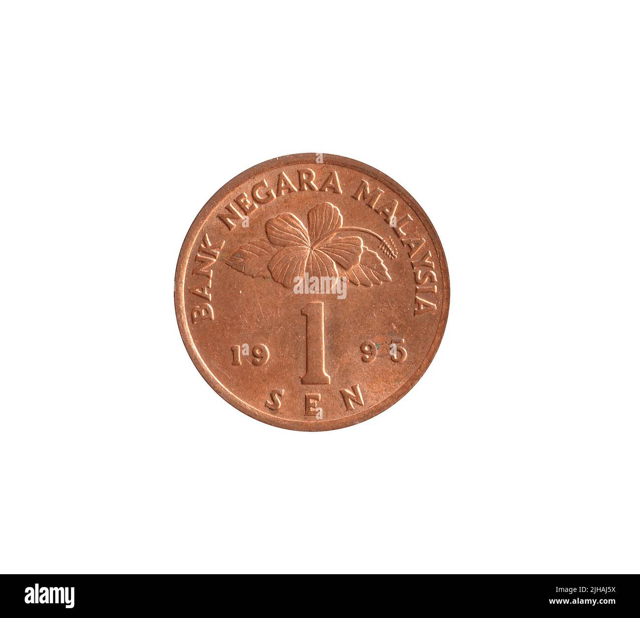 Una moneta Sen fatta dalla Malesia, che mostra il valore divide la data sotto il fiore di Hibiscus (Hibiscus rosa-sinensis) Foto Stock