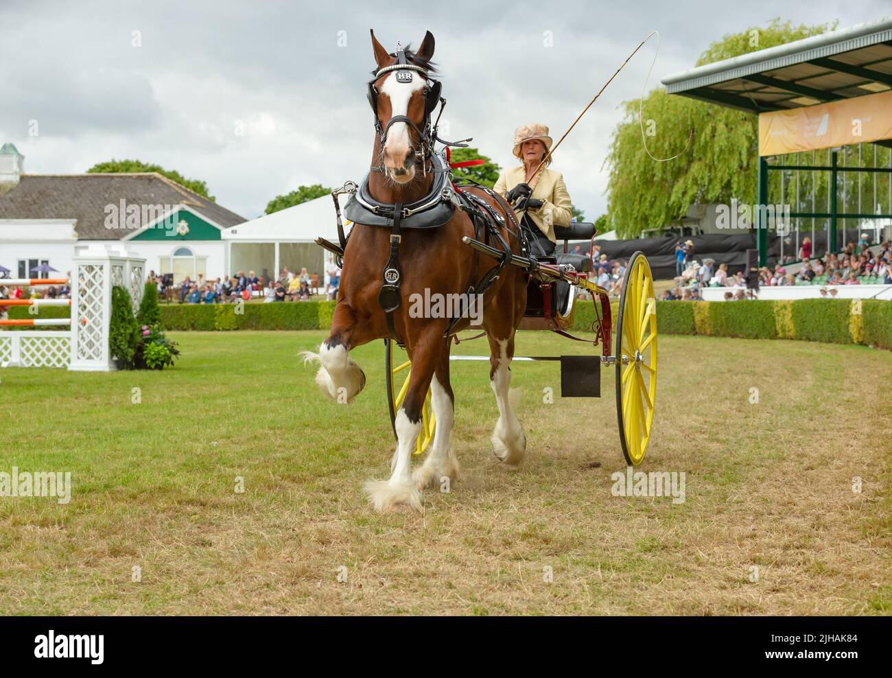 Great Yorkshire Show, Harrogate, Regno Unito. Luglio 15, 2022. Heavy Horse Turnout e Championship al Great Yorkshire Show, una donna che guida due ruote ca Foto Stock