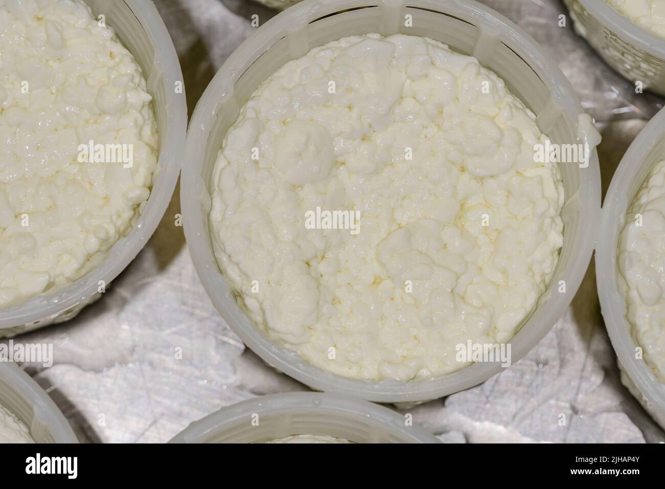 Produzione artigianale di formaggio fresco di capra Foto Stock