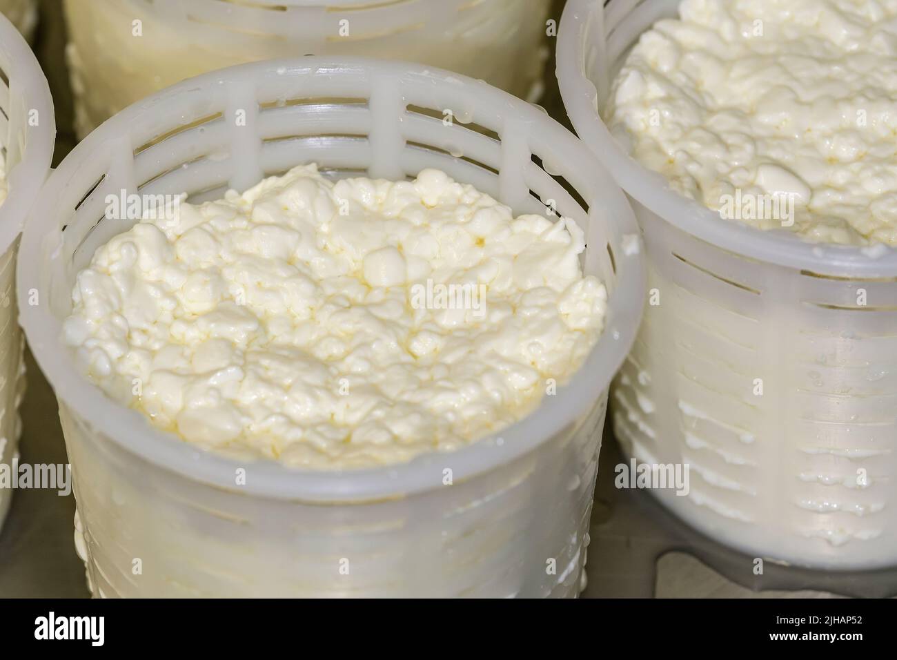 Produzione artigianale di formaggio fresco di capra Foto Stock