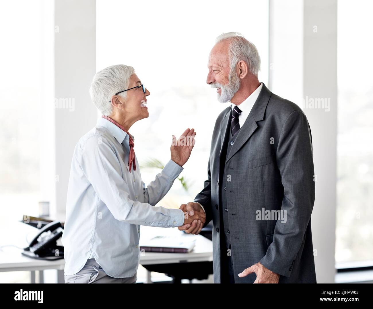 senior business businesswoman handshake meeting accordo ufficio lavoro di squadra partner businessman anziano mano matura capelli grigi Foto Stock