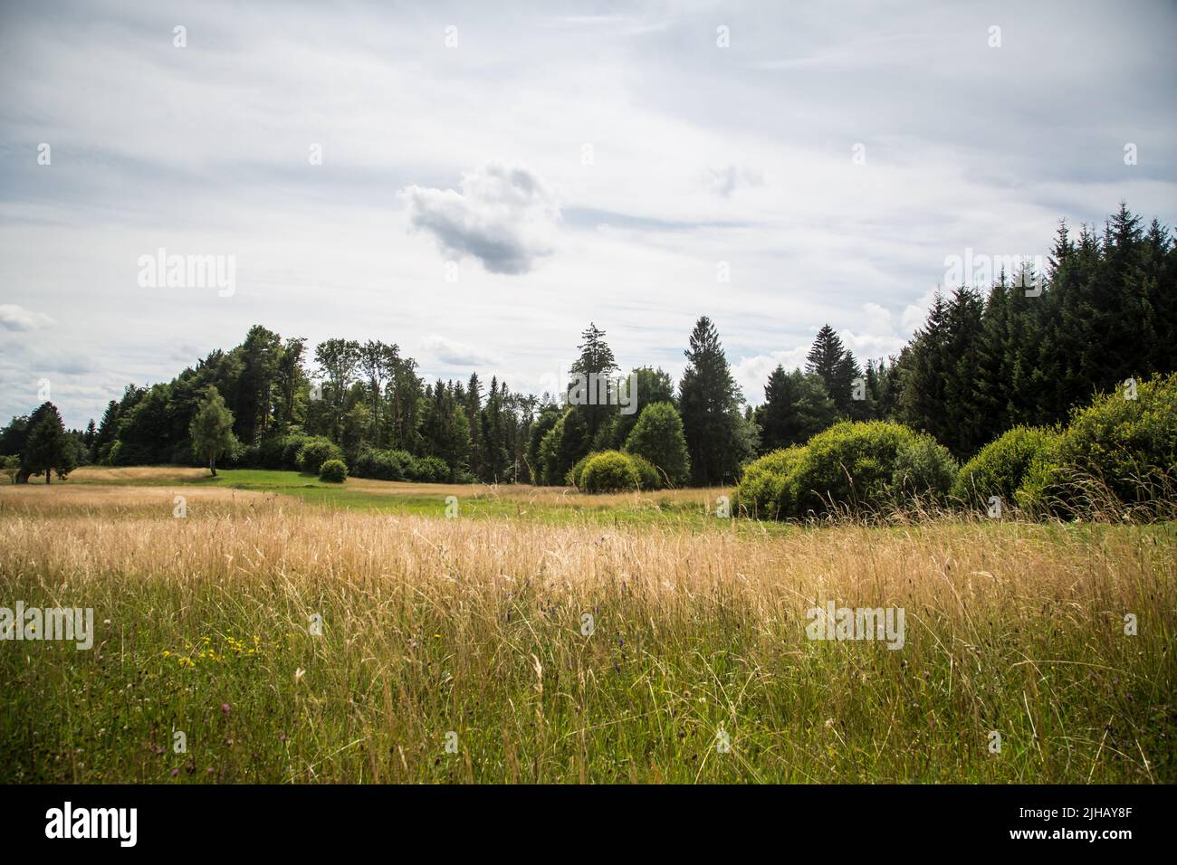 Paesaggio tipico del Waldviertel - campi, prati e boschi - Escursioni nei pressi di Siebenlinden nel Waldviertel, Austria Foto Stock