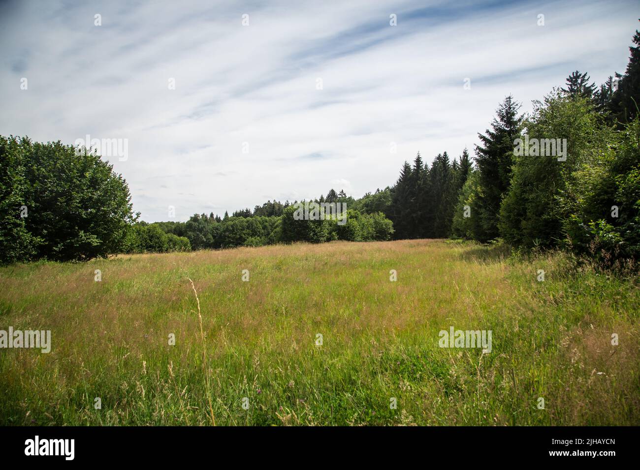 Tipico paesaggio di Waldviertel - prati e boschi - Escursioni vicino a Siebenlinden nel Waldviertel, Austria Foto Stock