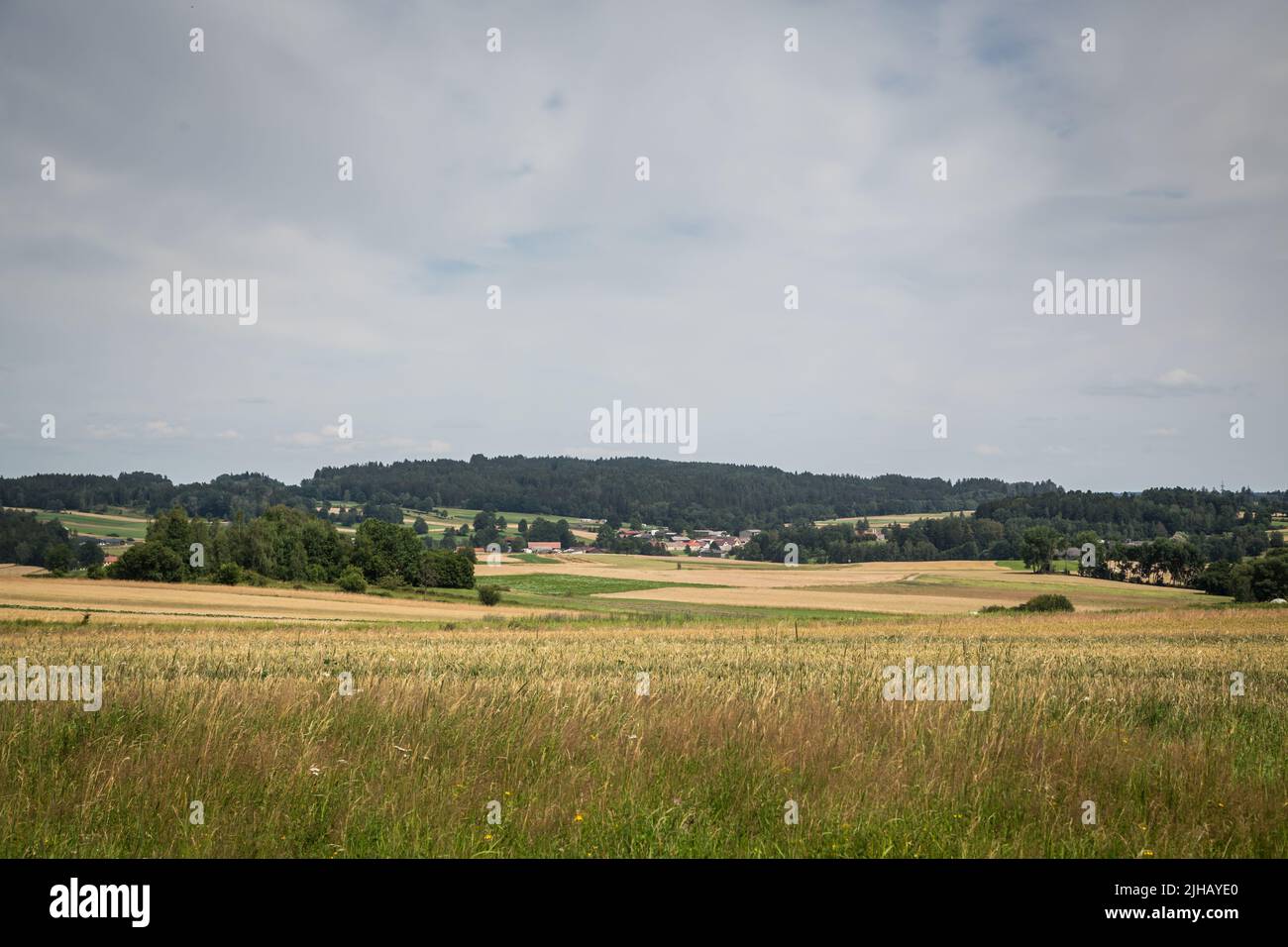 Paesaggio tipico del Waldviertel - campi, prati e boschi - Escursioni nei pressi di Siebenlinden nel Waldviertel, Austria Foto Stock