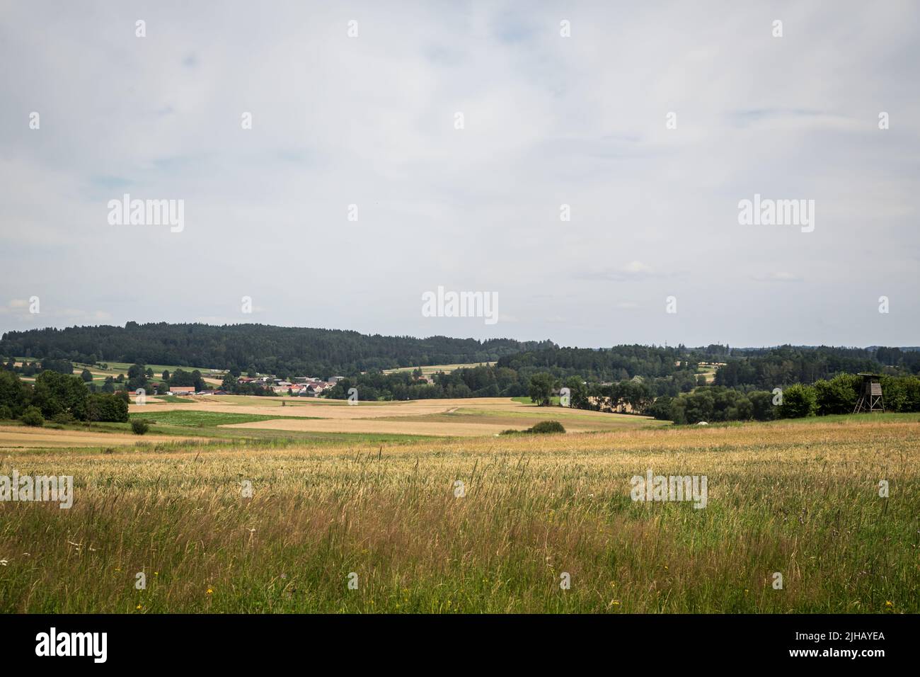 Paesaggio tipico del Waldviertel - campi, prati e boschi - Escursioni nei pressi di Siebenlinden nel Waldviertel, Austria Foto Stock