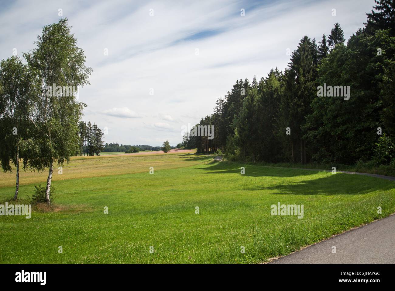 Paesaggio tipico del Waldviertel - campi, prati e boschi - Escursioni nei pressi di Siebenlinden nel Waldviertel, Austria Foto Stock