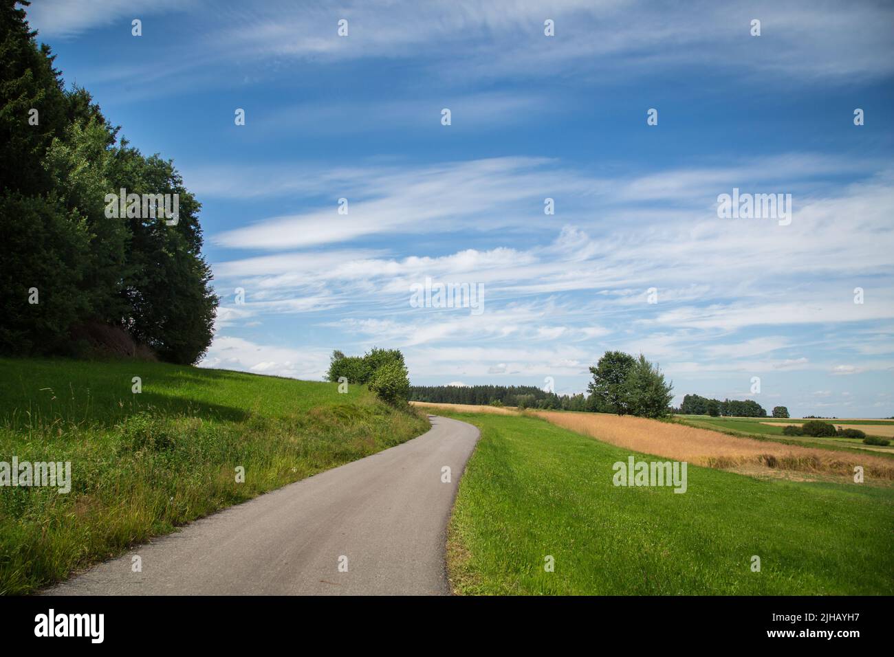 Paesaggio tipico del Waldviertel - campi, prati e boschi - Escursioni nei pressi di Siebenlinden nel Waldviertel, Austria Foto Stock