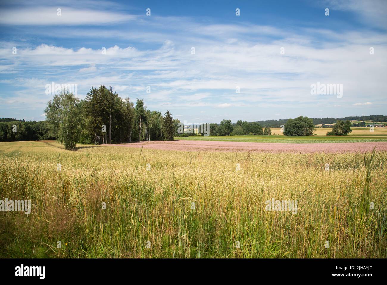 Paesaggio tipico del Waldviertel - campi, prati e boschi - Escursioni nei pressi di Siebenlinden nel Waldviertel, Austria Foto Stock