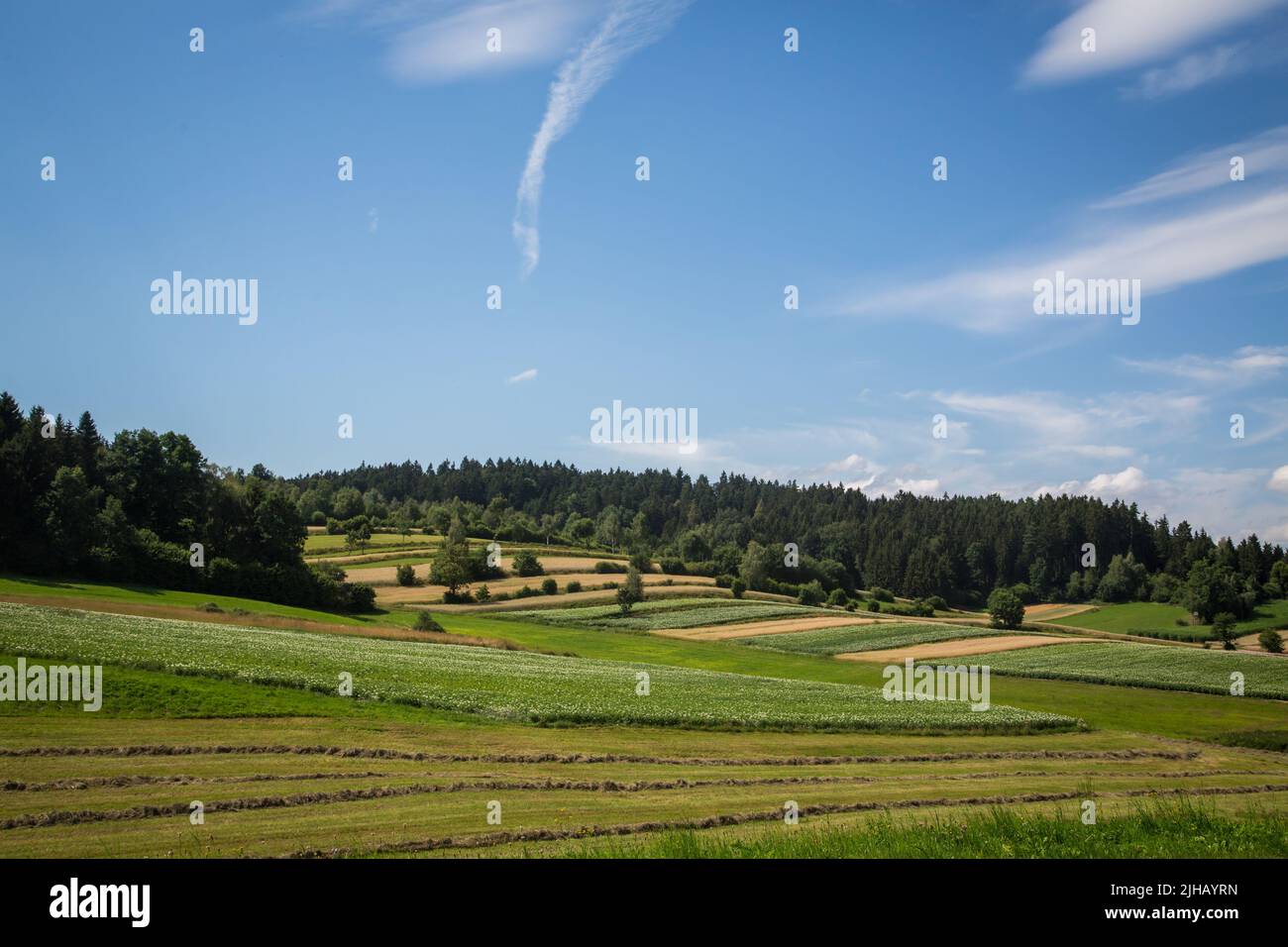 Paesaggio tipico del Waldviertel - campi, prati e boschi - Escursioni nei pressi di Siebenlinden nel Waldviertel, Austria Foto Stock
