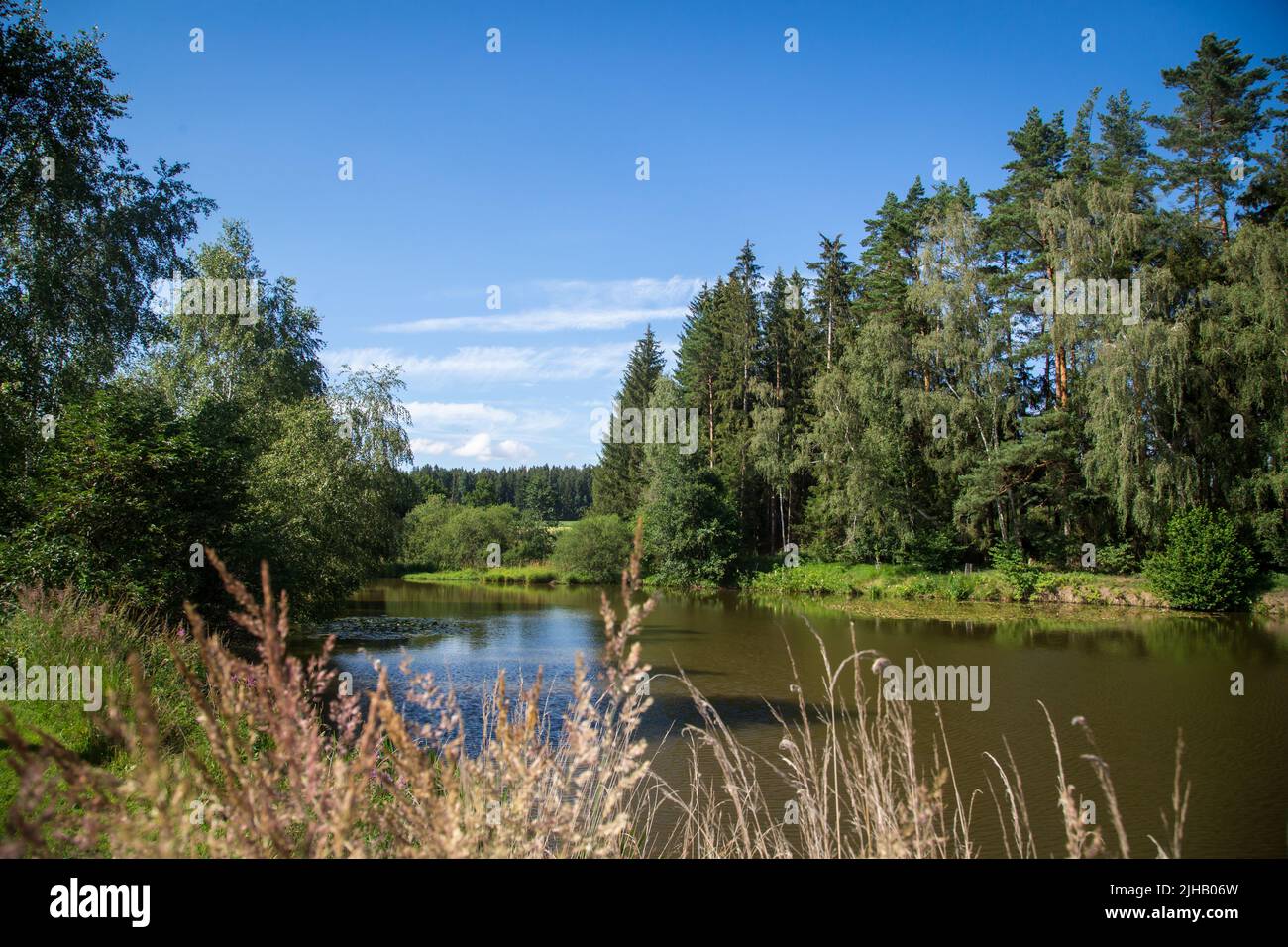 Laghetto delle carpe in una giornata estiva - Escursioni vicino a Siebenlinden nel Waldviertel, Austria Foto Stock