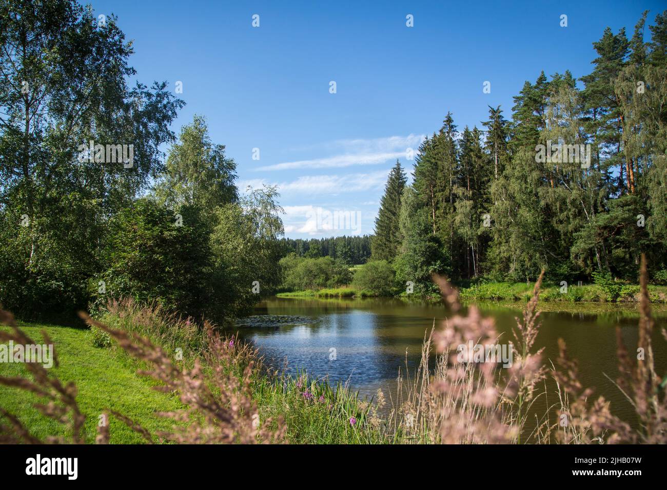 Laghetto delle carpe in una giornata estiva - Escursioni vicino a Siebenlinden nel Waldviertel, Austria Foto Stock