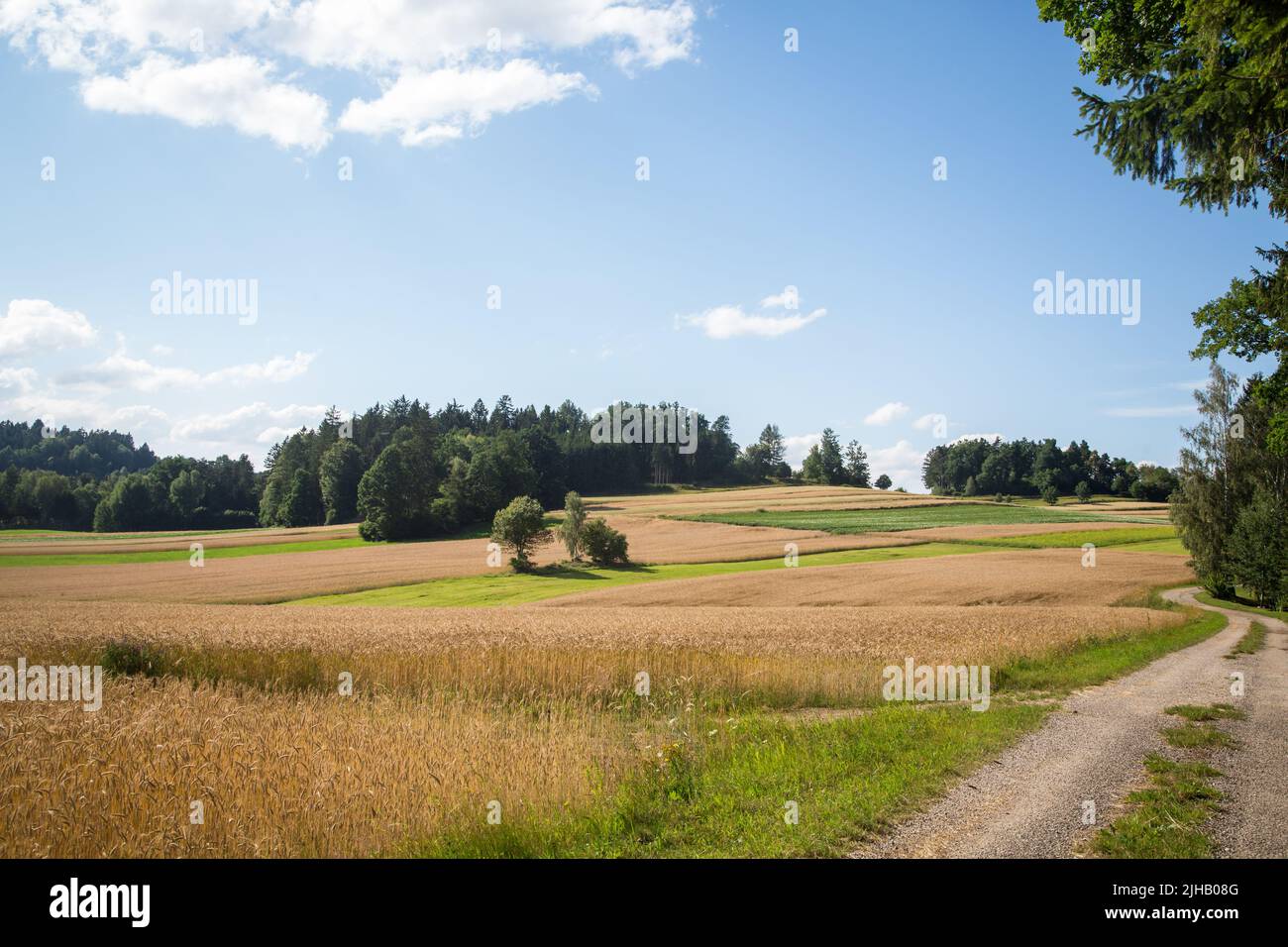 Paesaggio tipico del Waldviertel - campi, prati e boschi - Escursioni nei pressi di Siebenlinden nel Waldviertel, Austria Foto Stock
