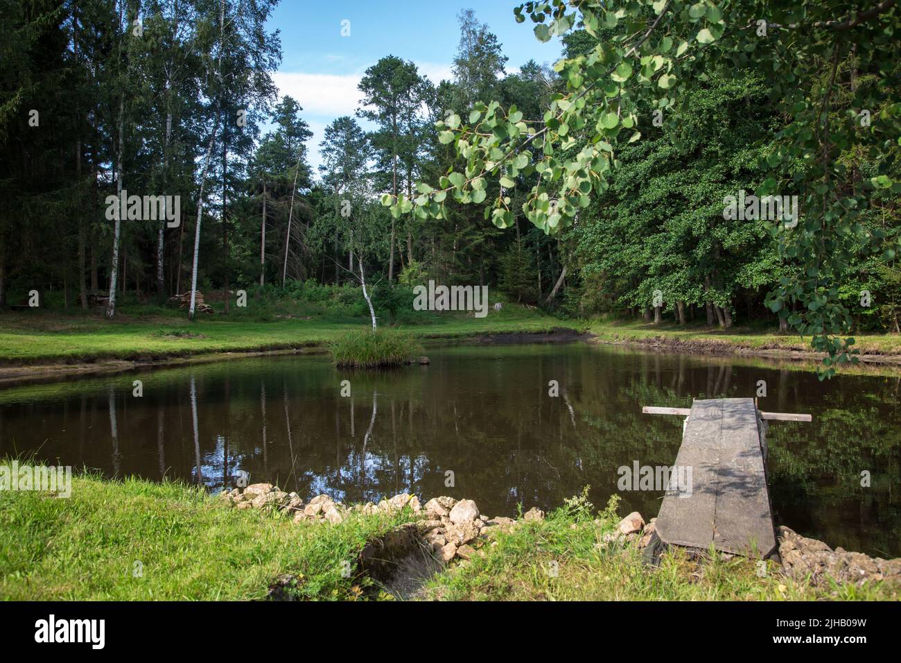 Laghetto delle carpe in una giornata estiva - Escursioni vicino a Siebenlinden nel Waldviertel, Austria Foto Stock