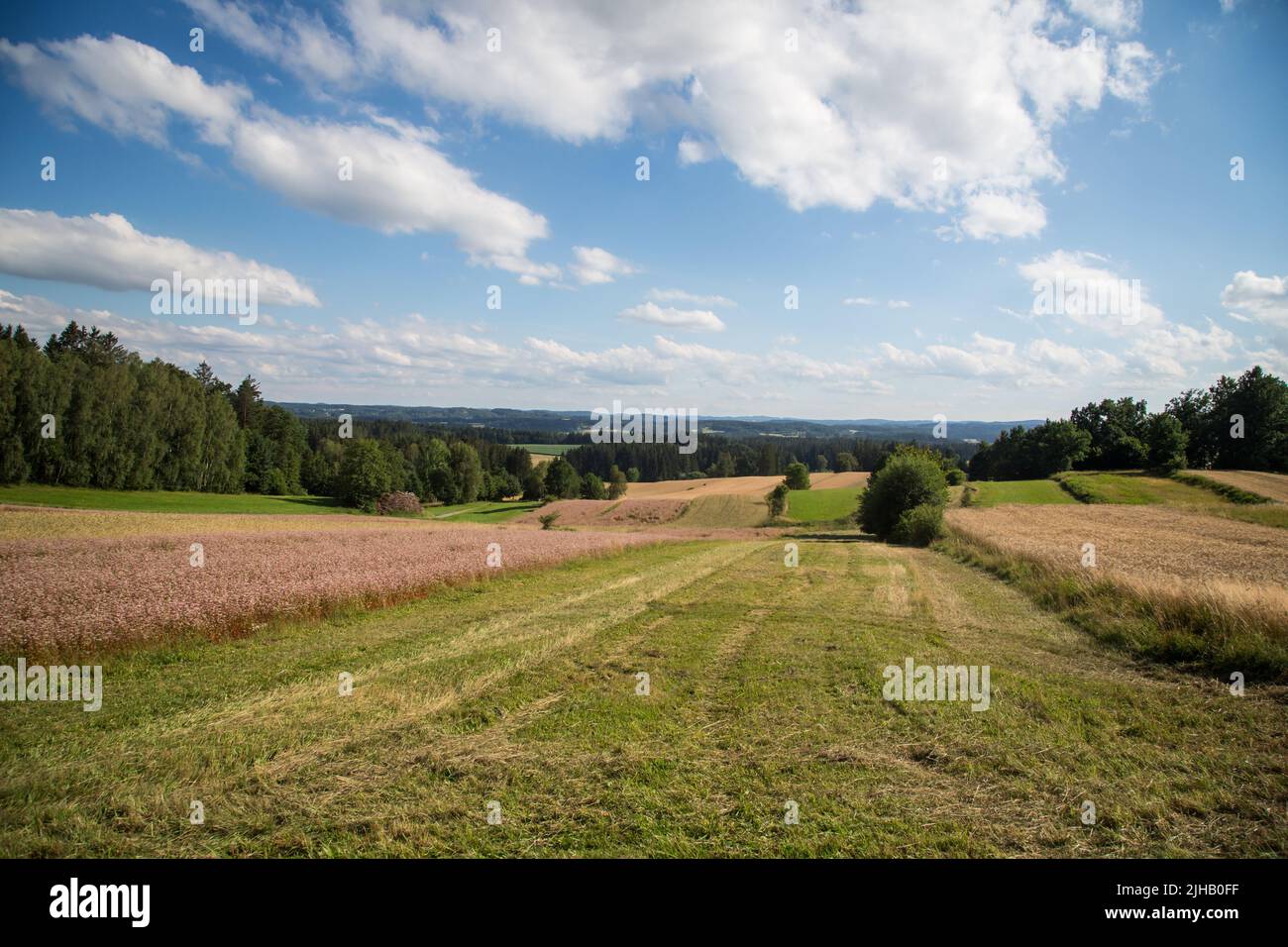 Paesaggio tipico del Waldviertel - campi, prati e boschi - Escursioni nei pressi di Siebenlinden nel Waldviertel, Austria Foto Stock
