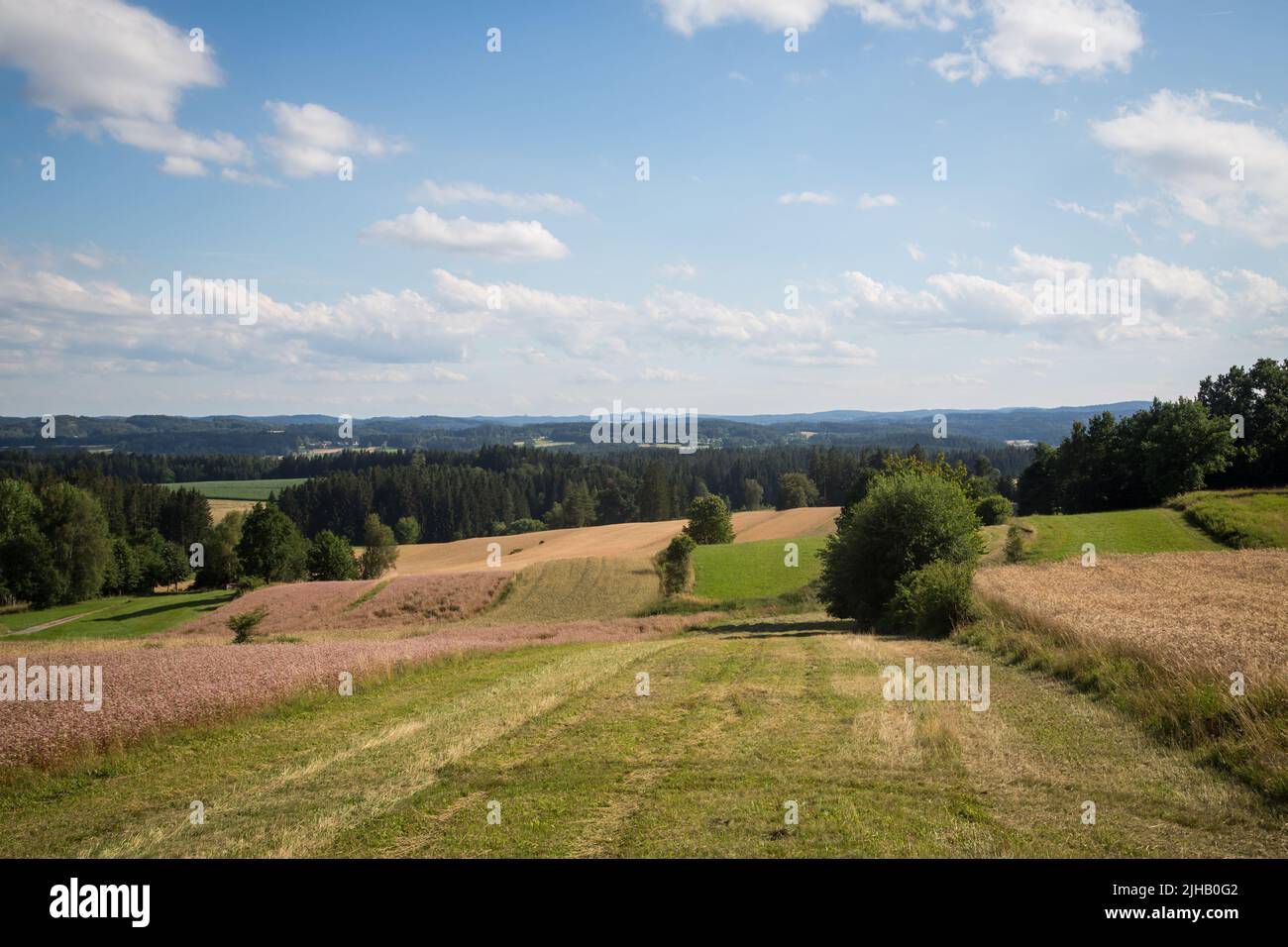 Paesaggio tipico del Waldviertel - campi, prati e boschi - Escursioni nei pressi di Siebenlinden nel Waldviertel, Austria Foto Stock