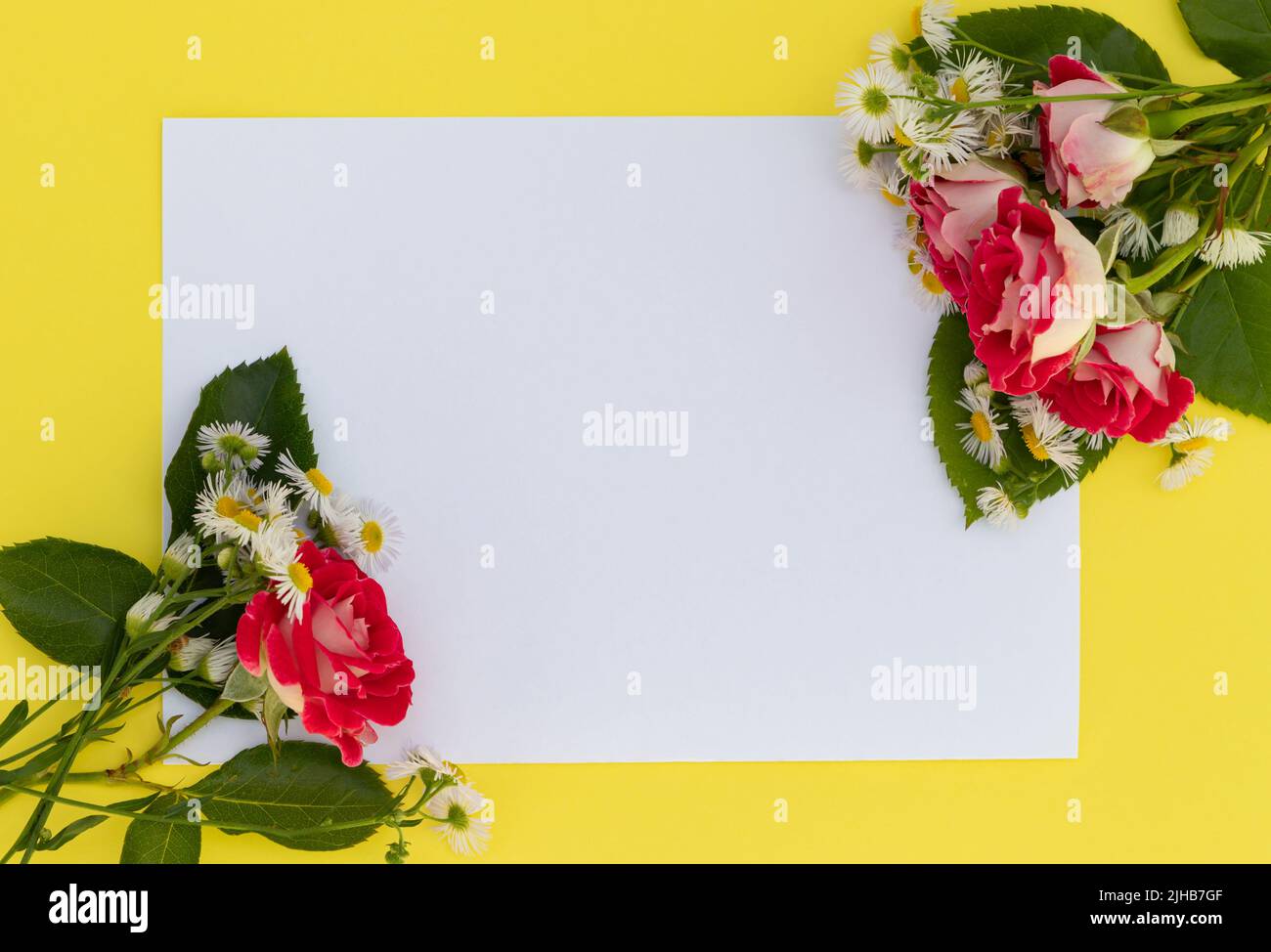 Biglietto di auguri con fiori su sfondo giallo con spazio per il testo su carta bianca Foto Stock