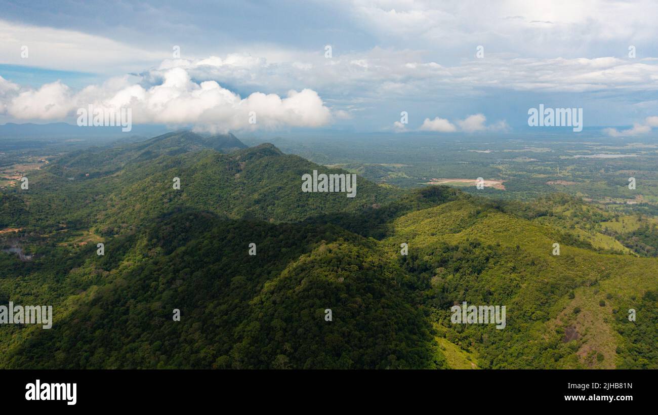 Montagne e verdi colline in Sri Lanka. Pendii di montagna con vegetazione sempreverde. Foto Stock
