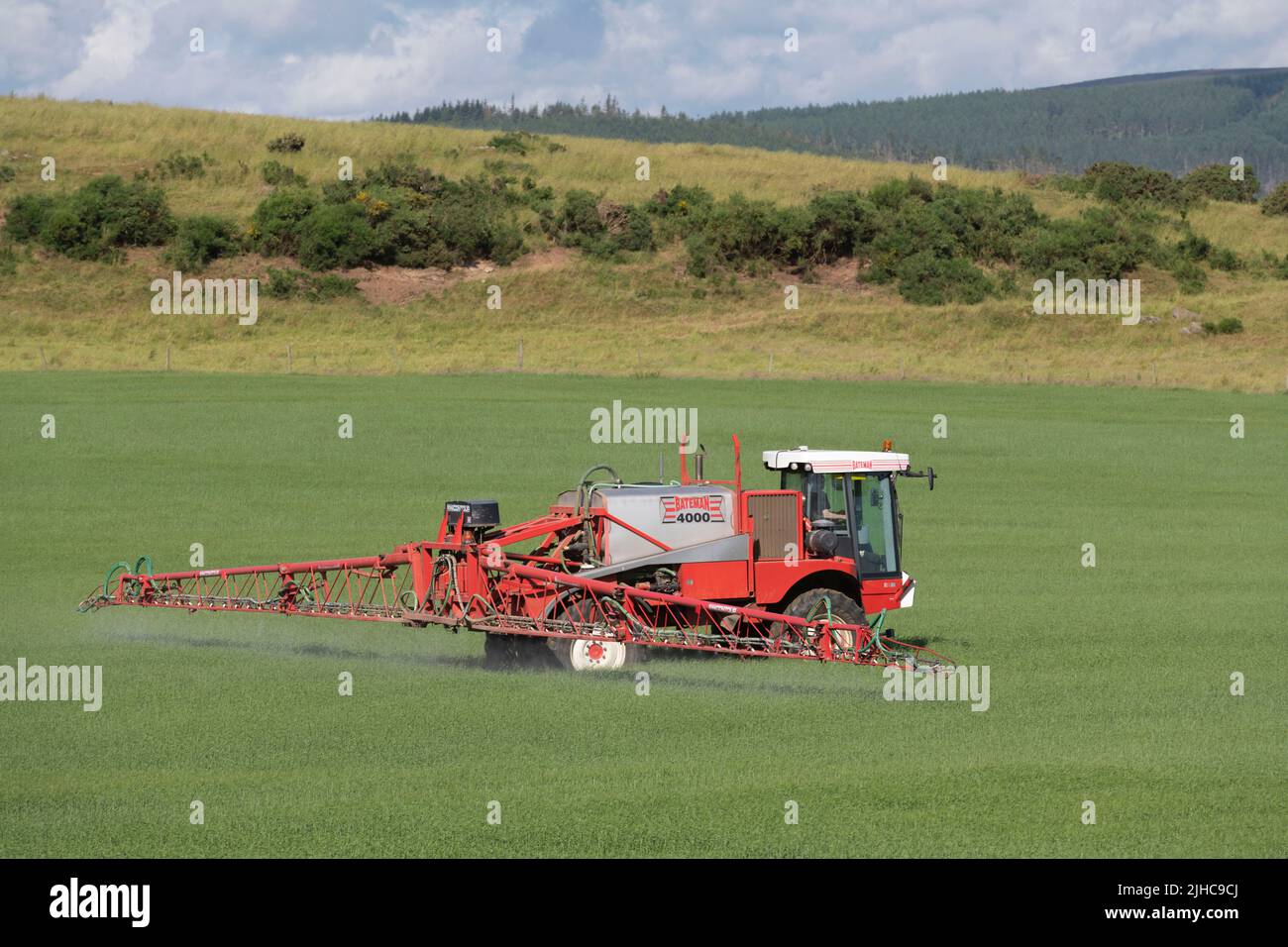 Irrorazione del raccolto con un Bateman 4000 in un campo di Spring Barley in Summer Sunshine Foto Stock