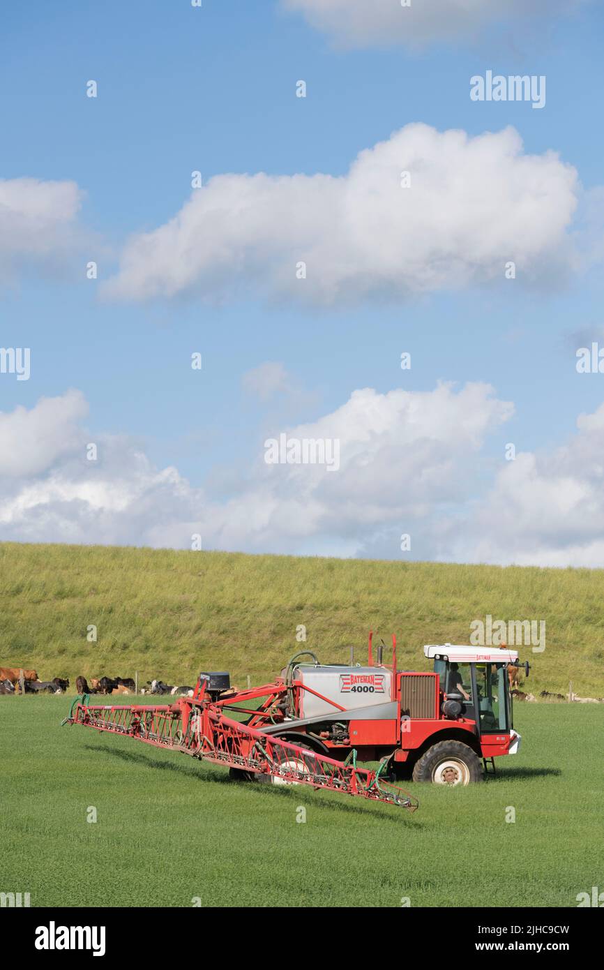 Un irroratrice semovente Bateman Crop che opera in un campo di Barley in una Sunny Summer Morning Foto Stock