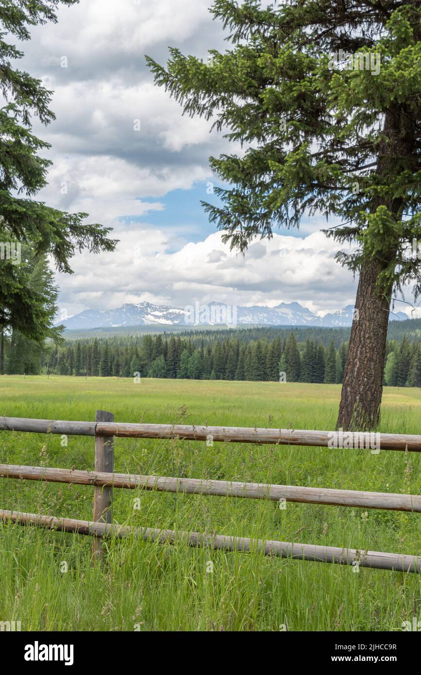 Le vette innevate del Parco Nazionale del Ghiacciaio, viste in lontananza oltre una recinzione e un campo. Foto Stock