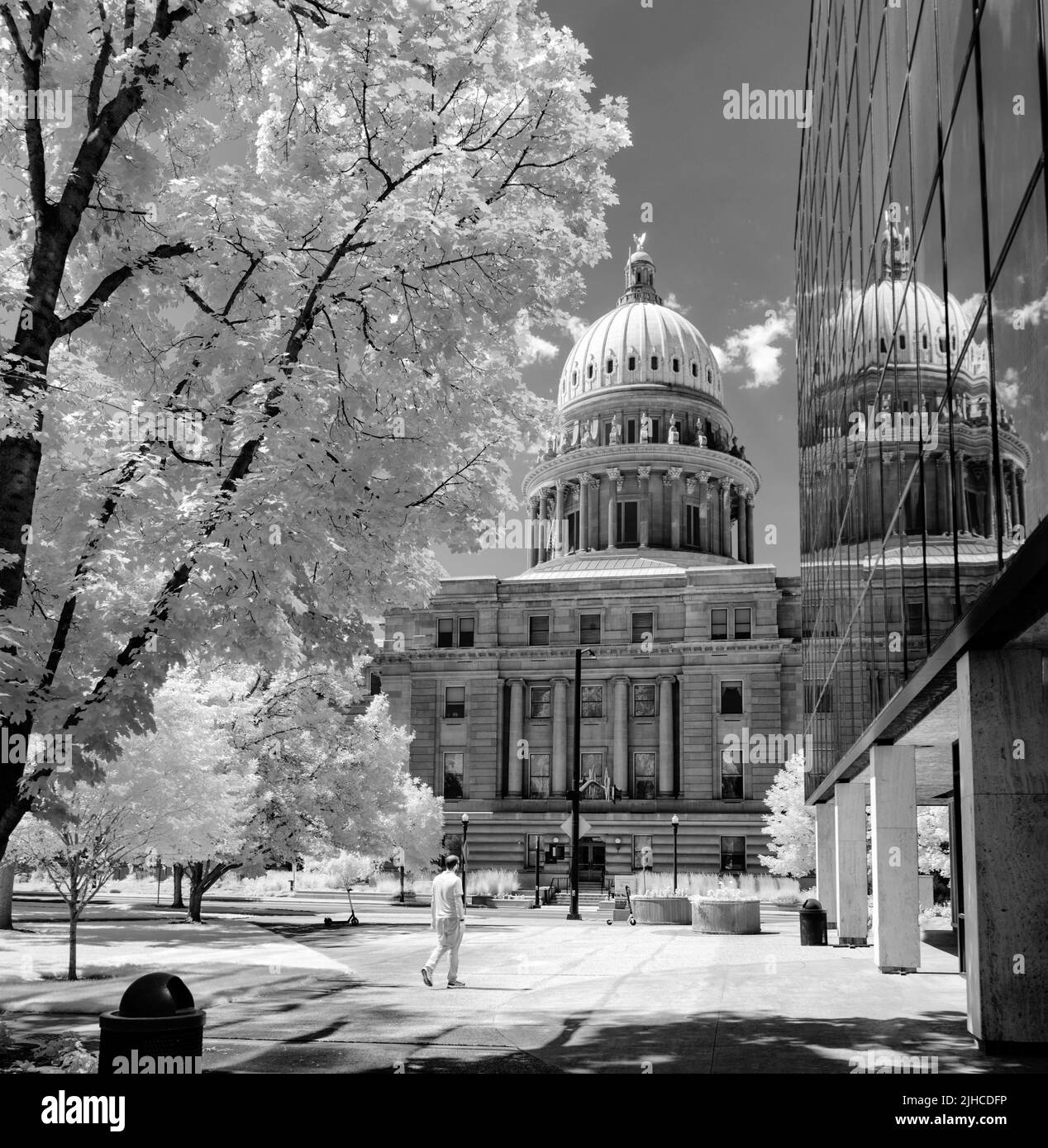 Fogliame leggero alla capitale dello Stato di Idaho infrarossi Foto Stock