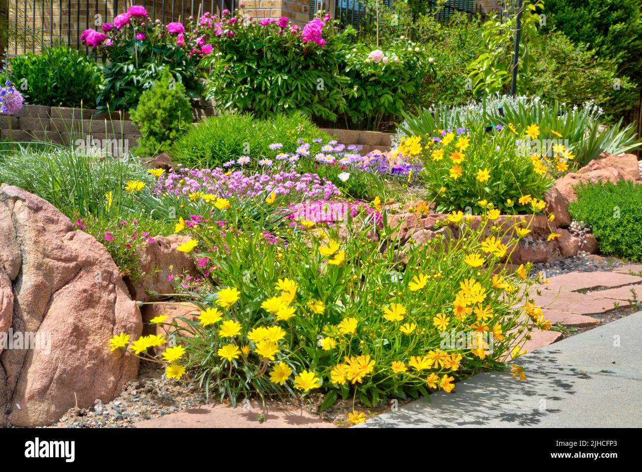 Un giardino di roccia xeric informale nella fioritura di inizio estate. Foto Stock