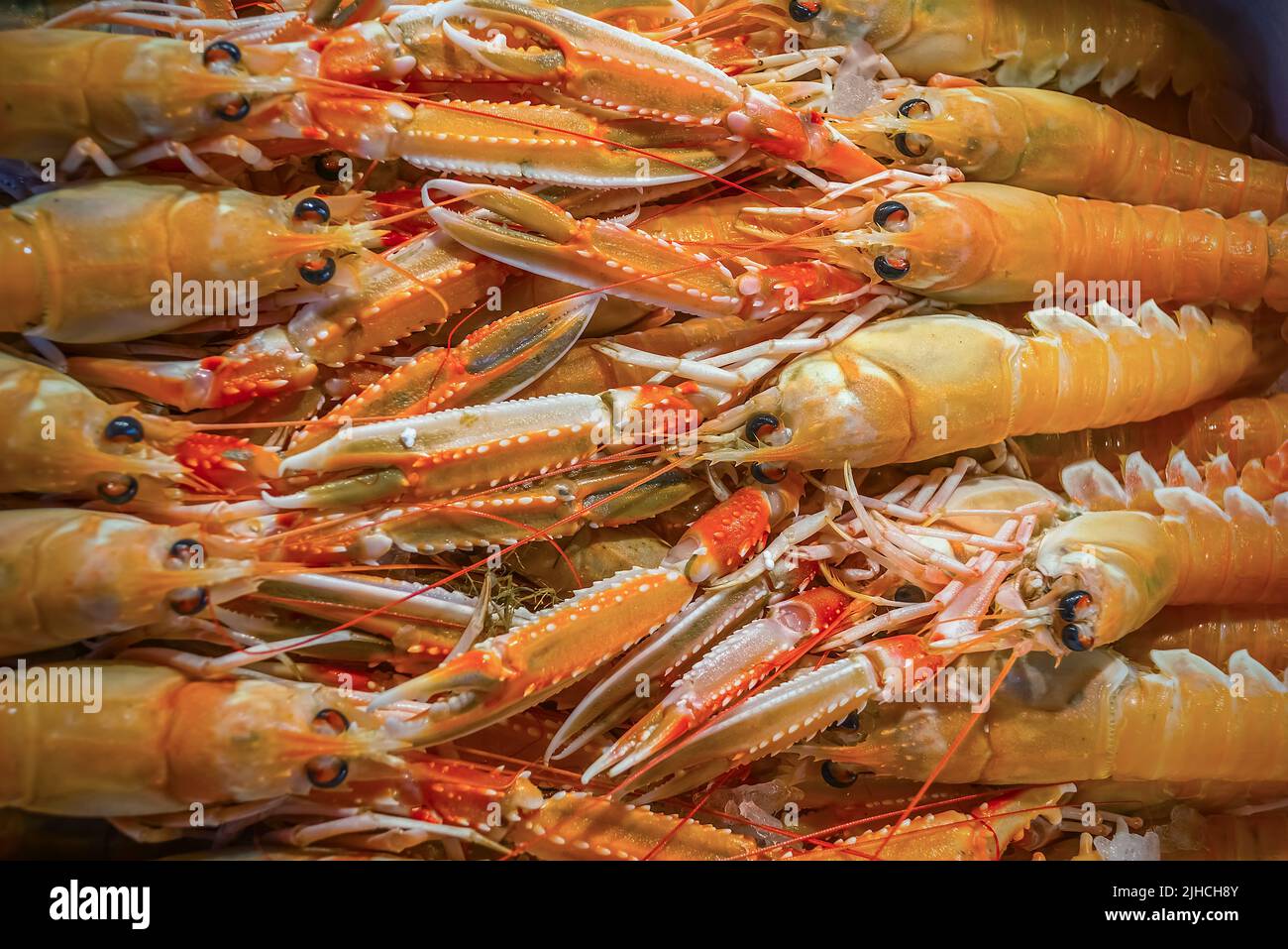 Esposizione di Scampi (Nephrops norvegicus) al mercato di Rialto a Venezia Foto Stock