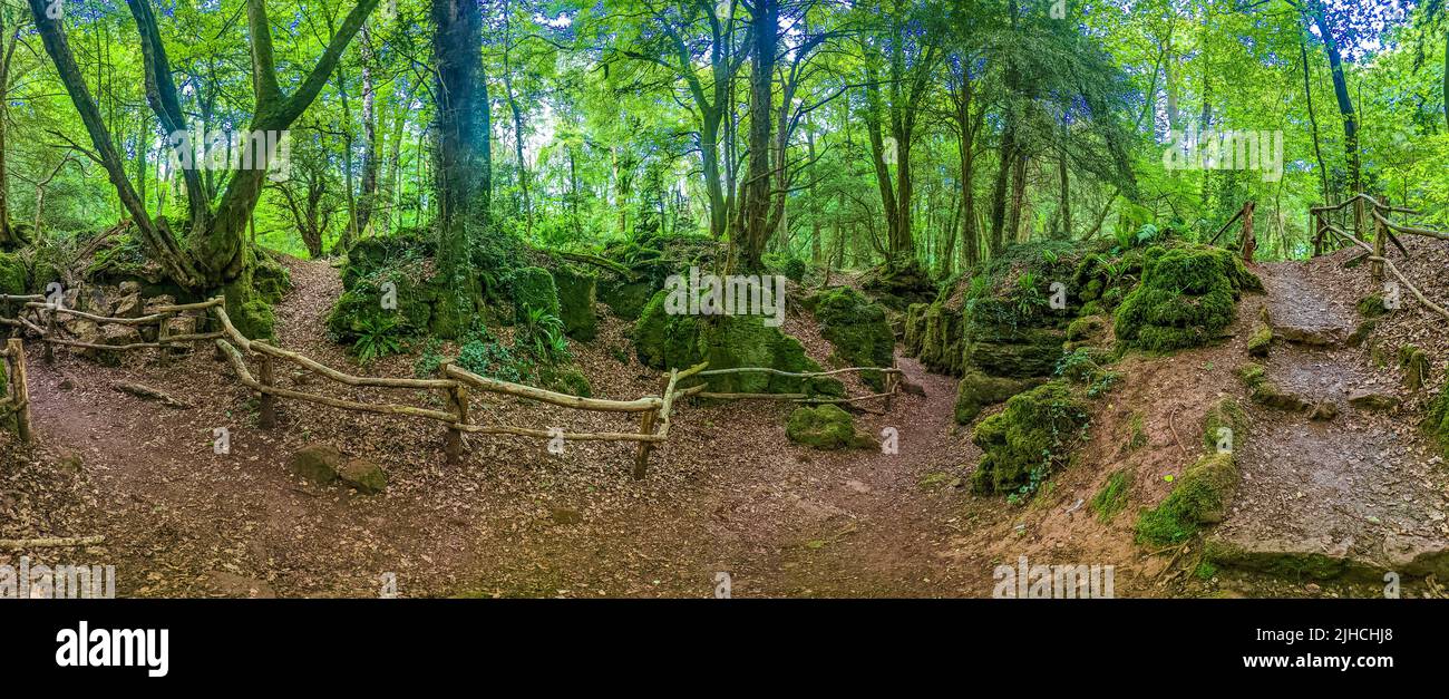 Il muschio copriva rocce di Puzzlewood, un bosco vicino a Coleford, Royal Forest of Dean, Regno Unito. Foto Stock