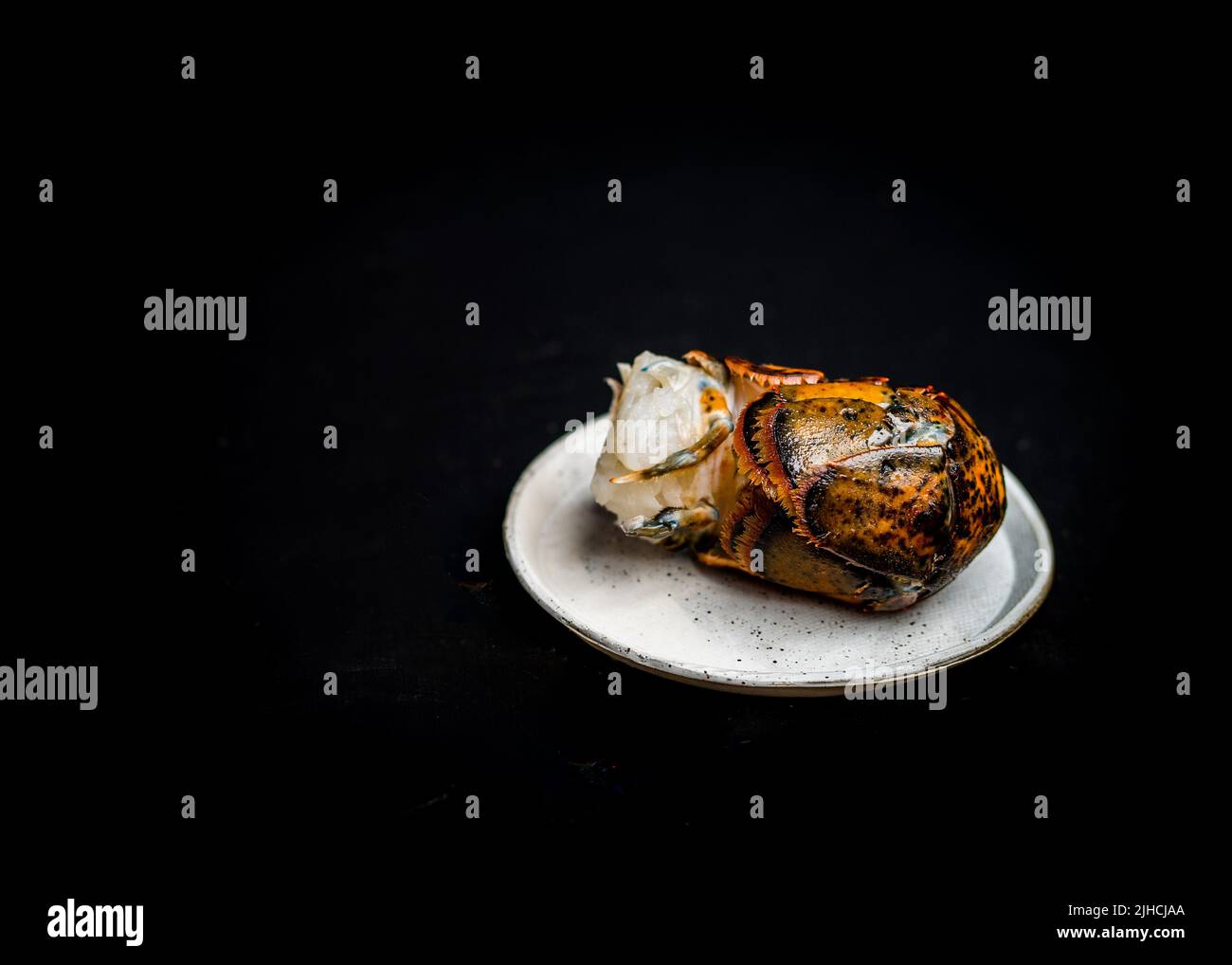Coda di aragosta Foto Stock