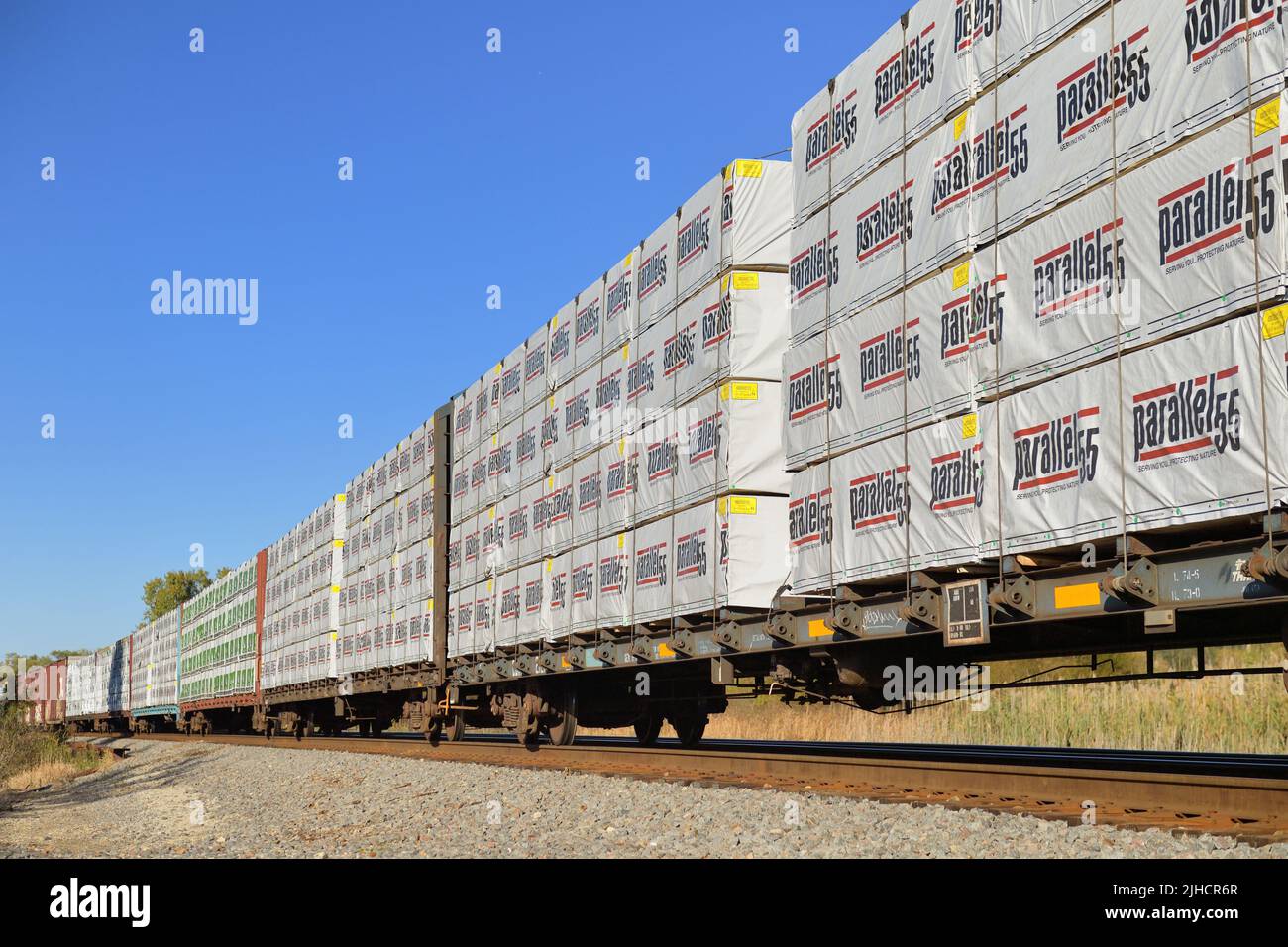 Hoffman Estates, Illinois, Stati Uniti. Un treno merci composto da auto piatte a trave centrale che trasportano legname che viaggiano attraverso la periferia nord-occidentale di Chicago. Foto Stock