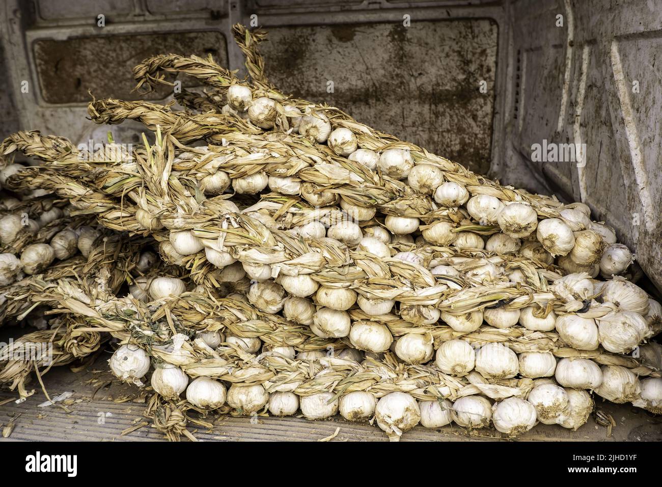 Dettaglio di strisce di aglio essiccato in un mercato, ingrediente di cottura Foto Stock