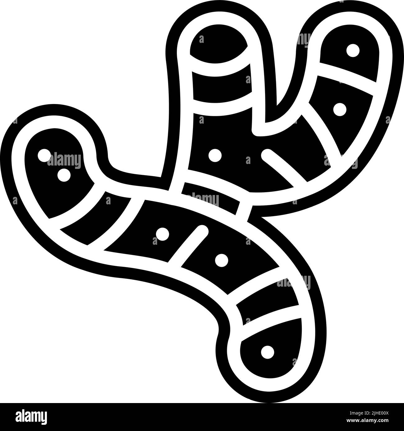 Zenzero vegetale e insalata . Illustrazione Vettoriale