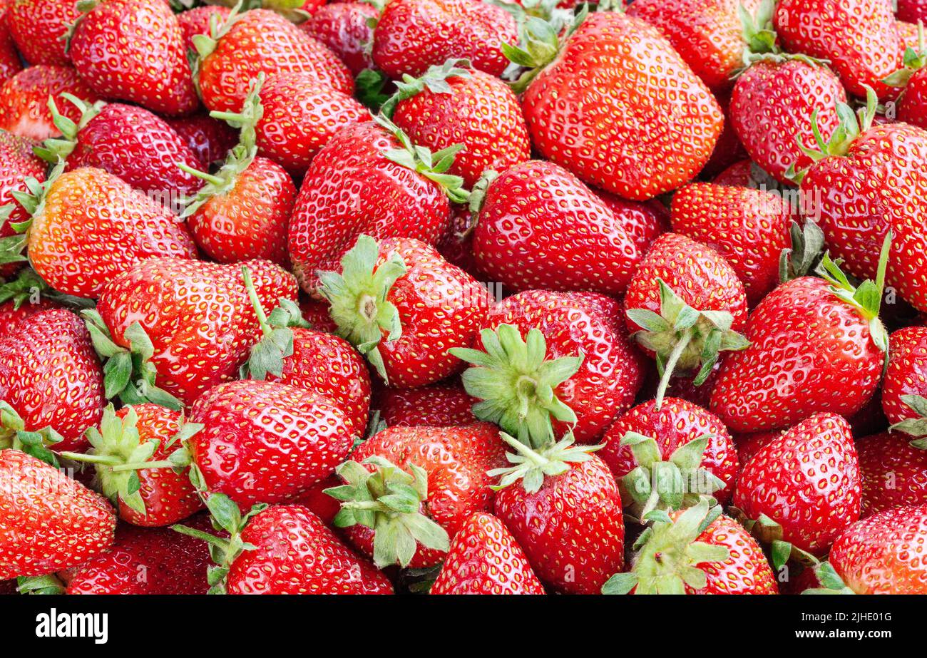 Fragole fresche sfondo Foto Stock